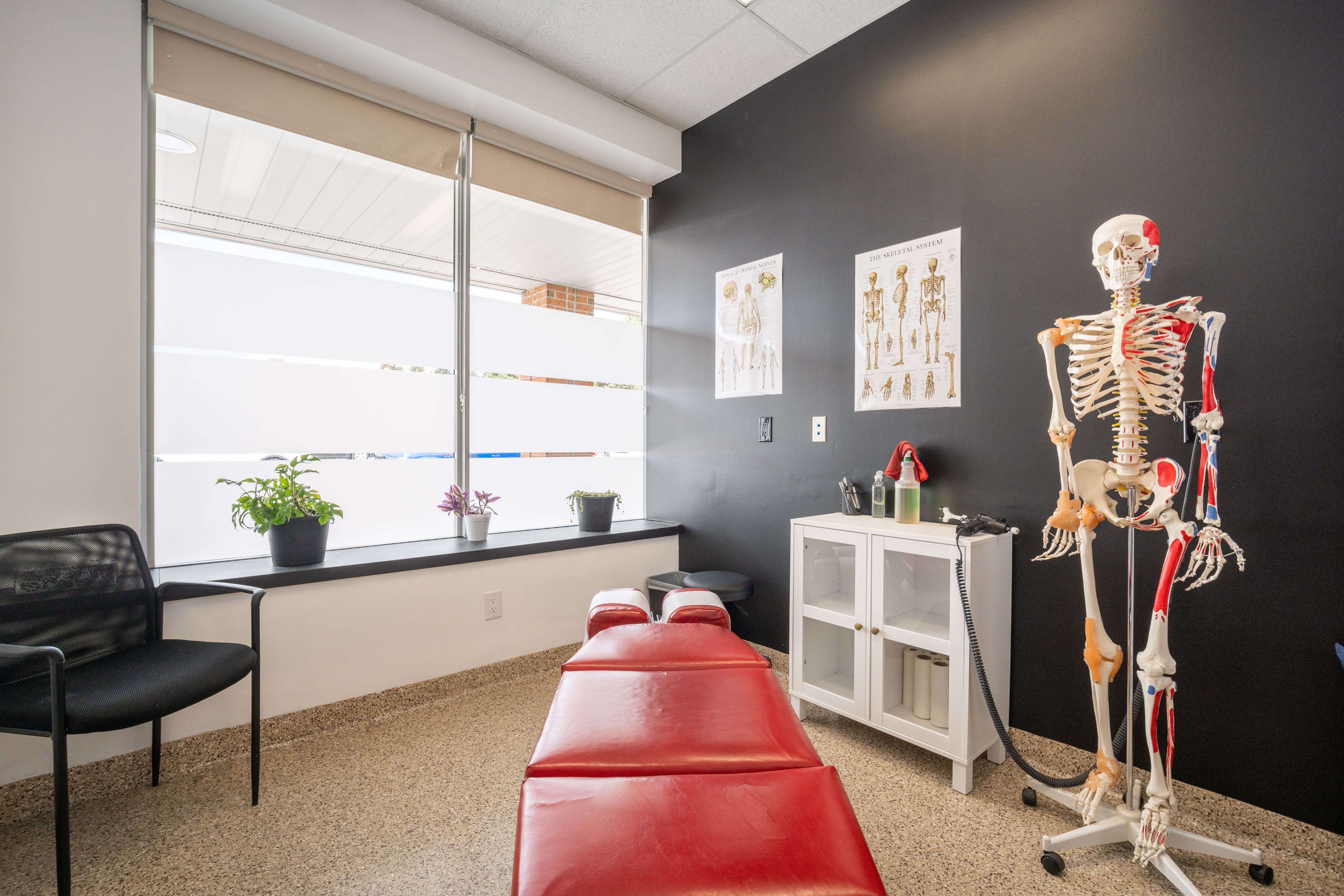 chiropractic treatment