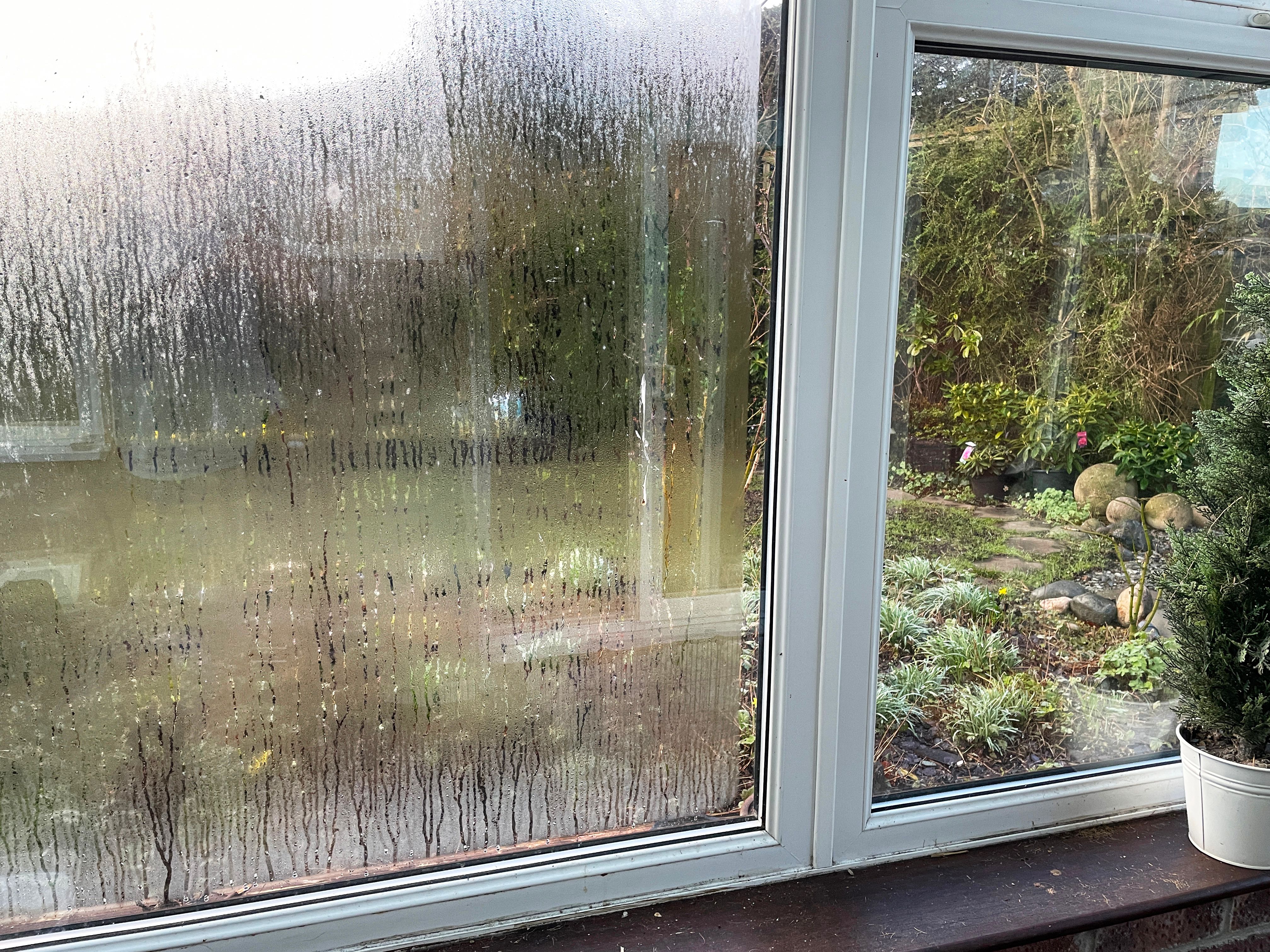 condensation windows
