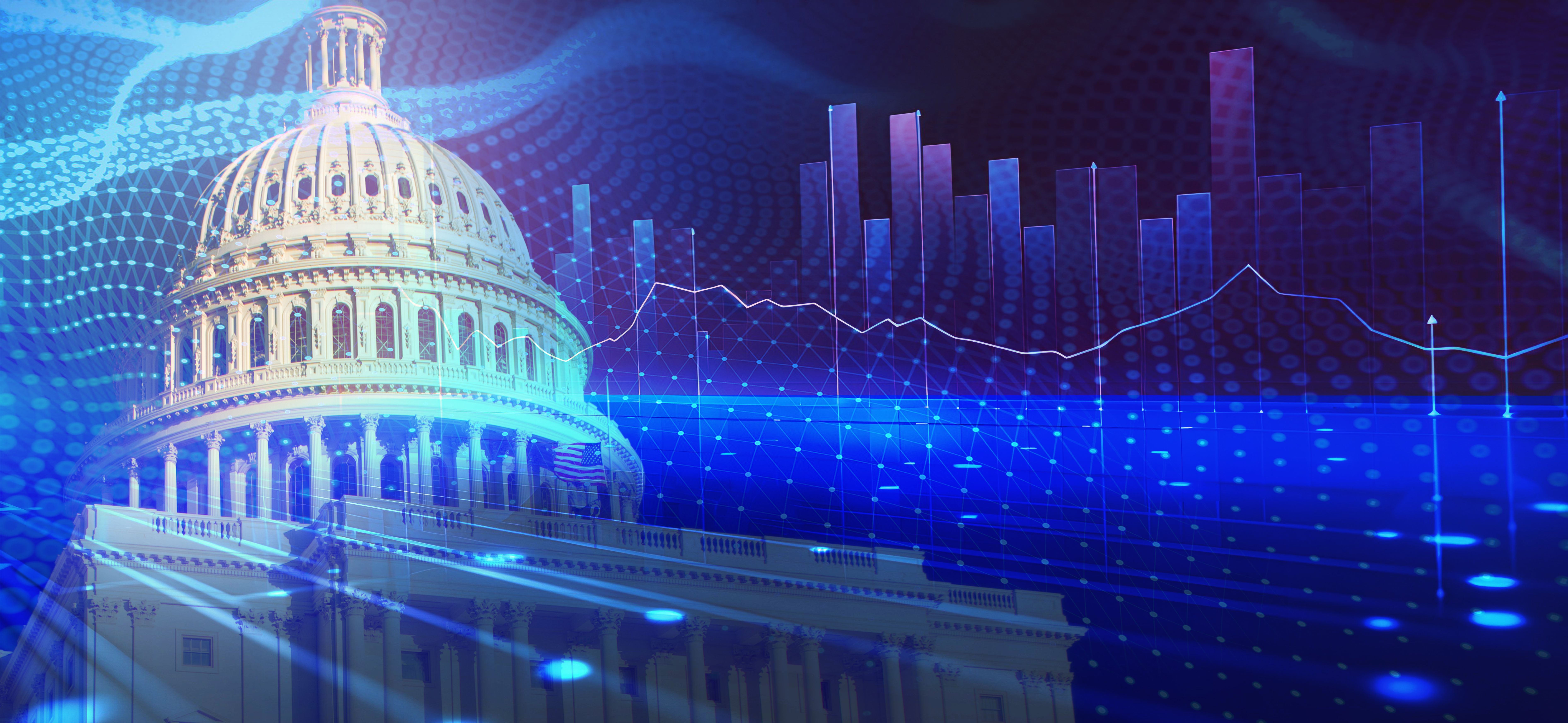 government support tech