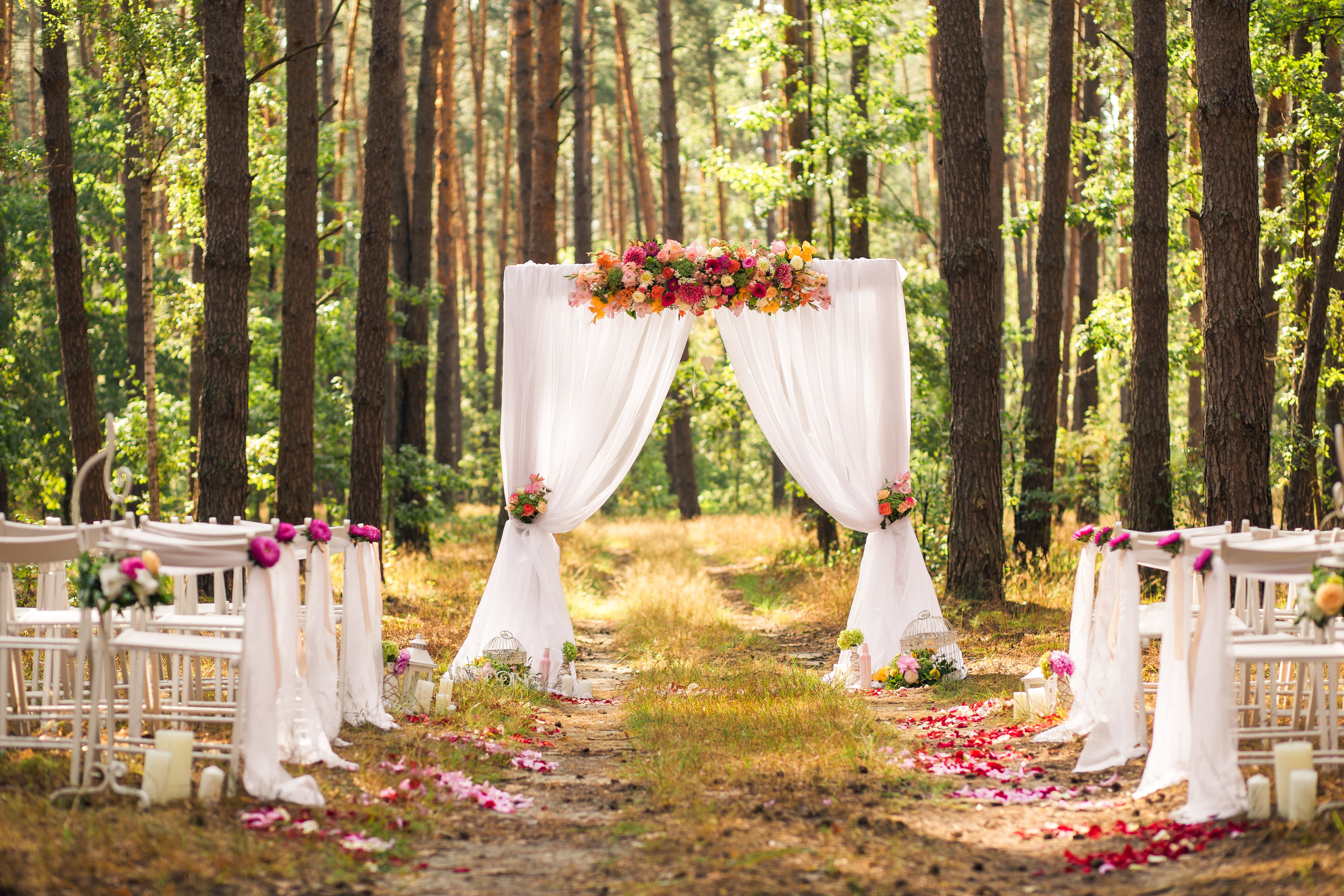 forest wedding