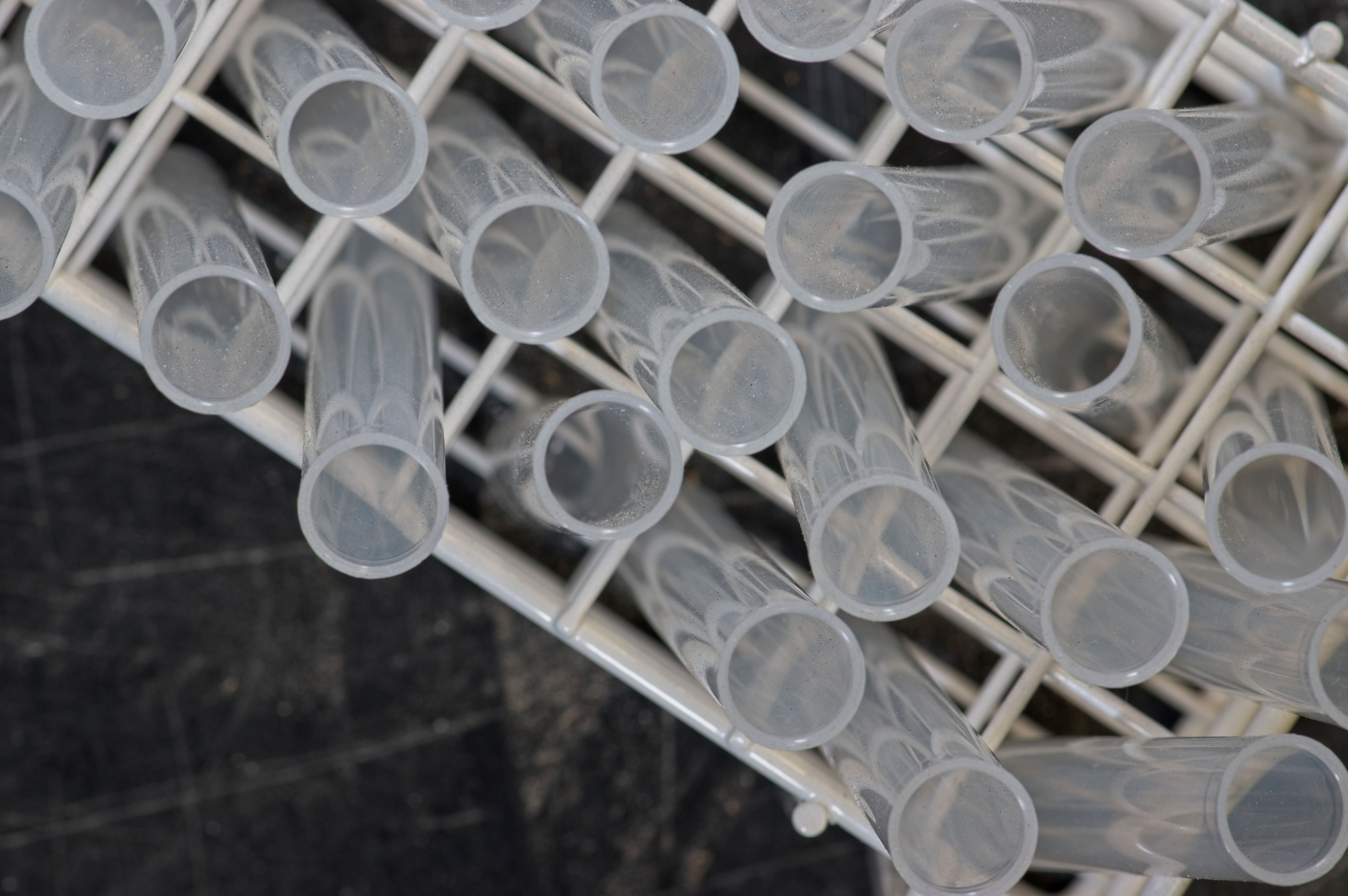 abandoned laboratory