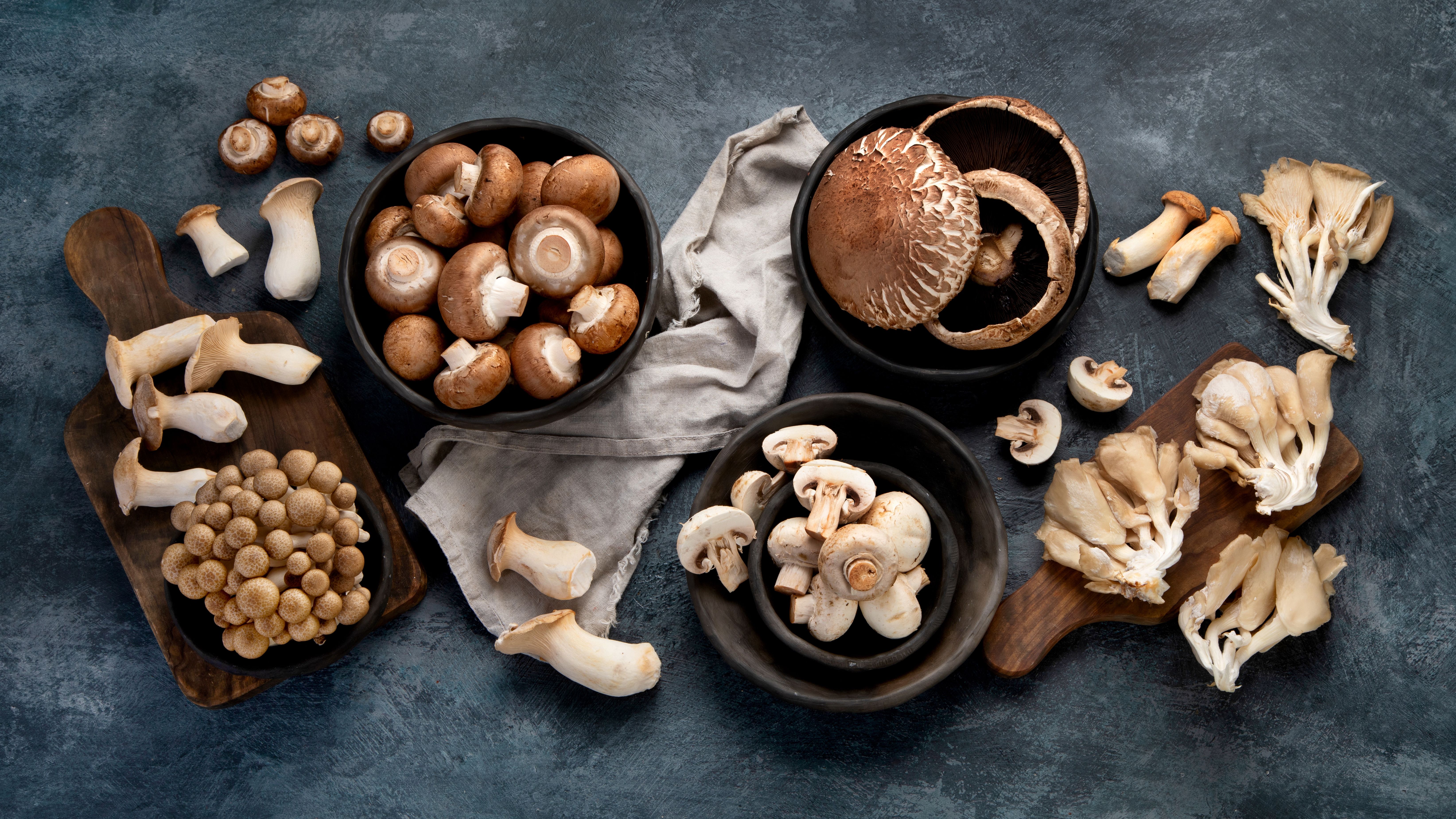variety of mushrooms