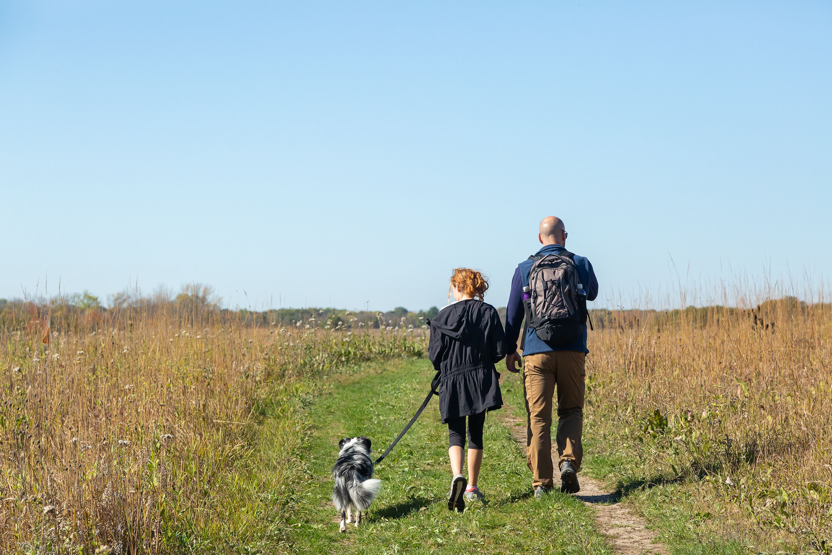 family with australian shepherd