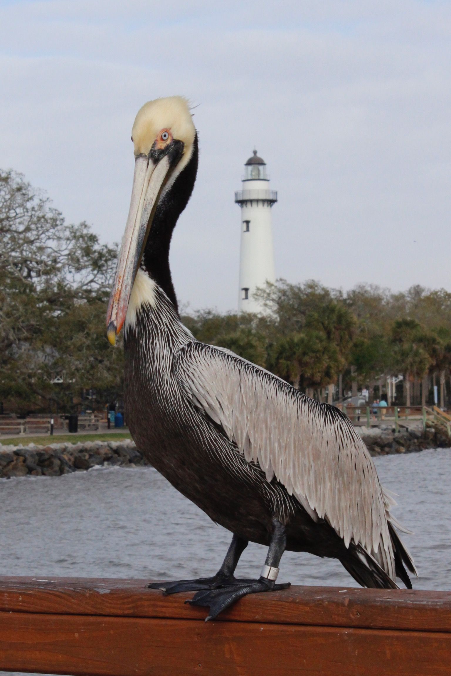 St. Simon’s Lighthouse