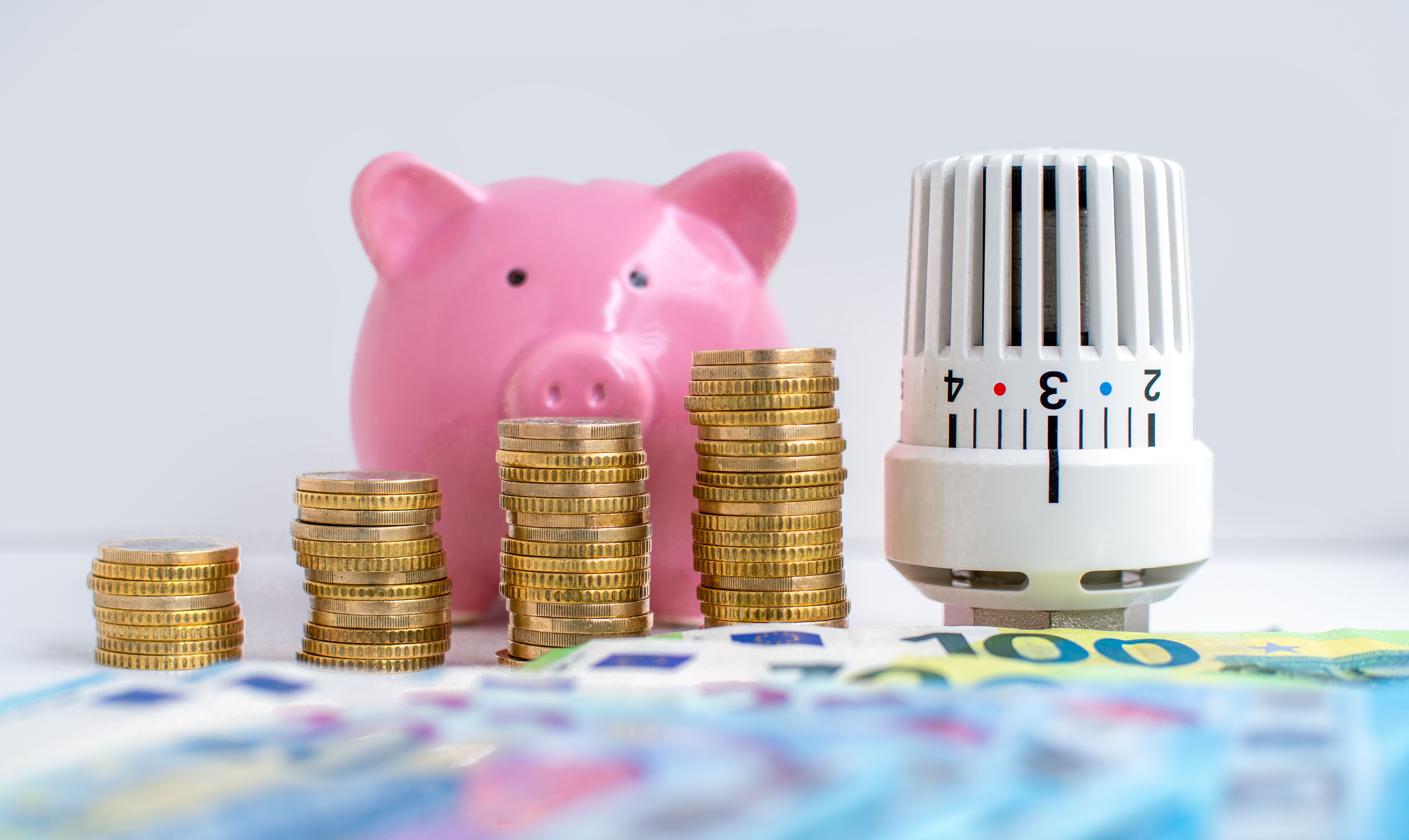 it consulting cost saving