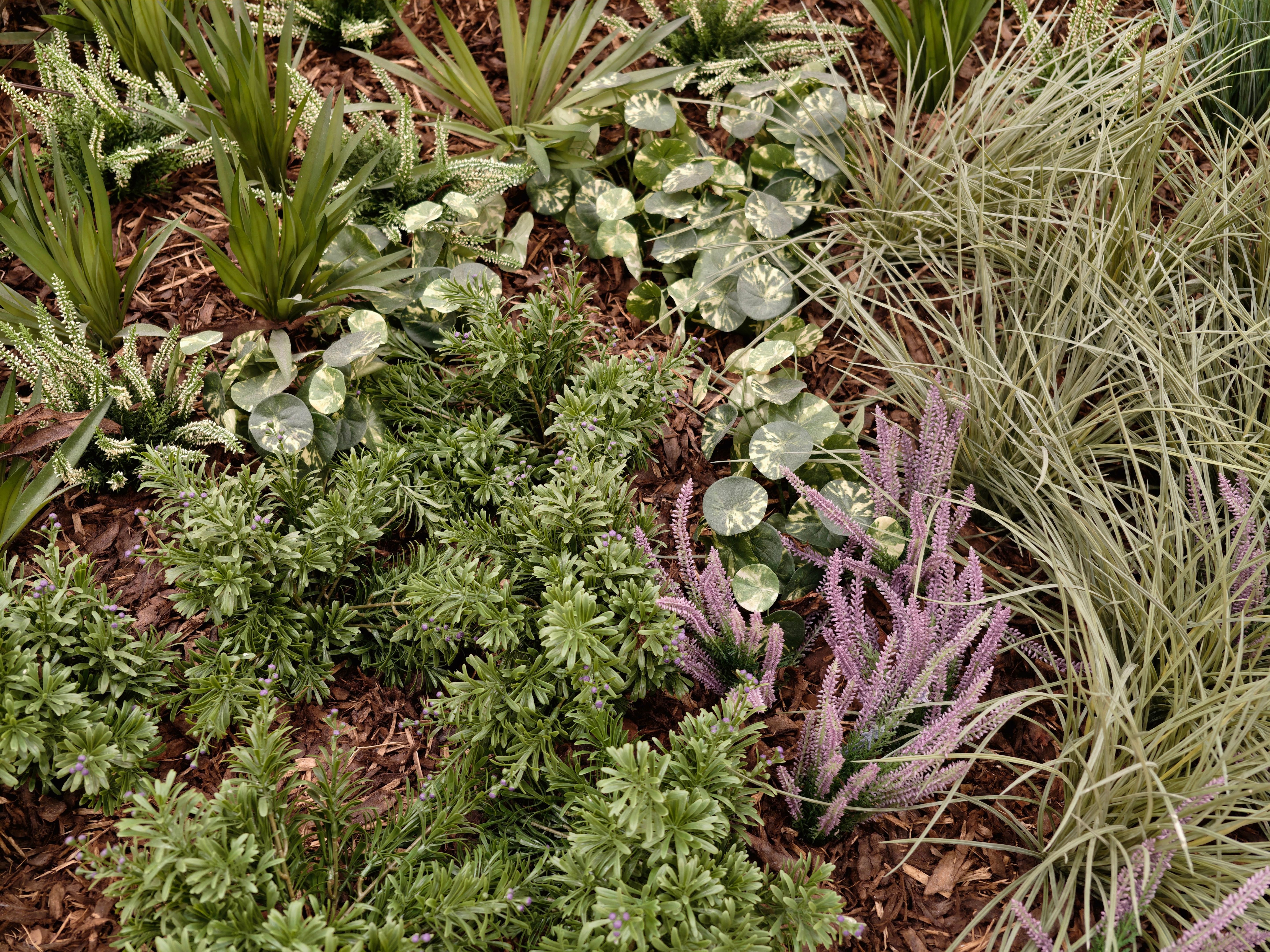 low maintenance garden