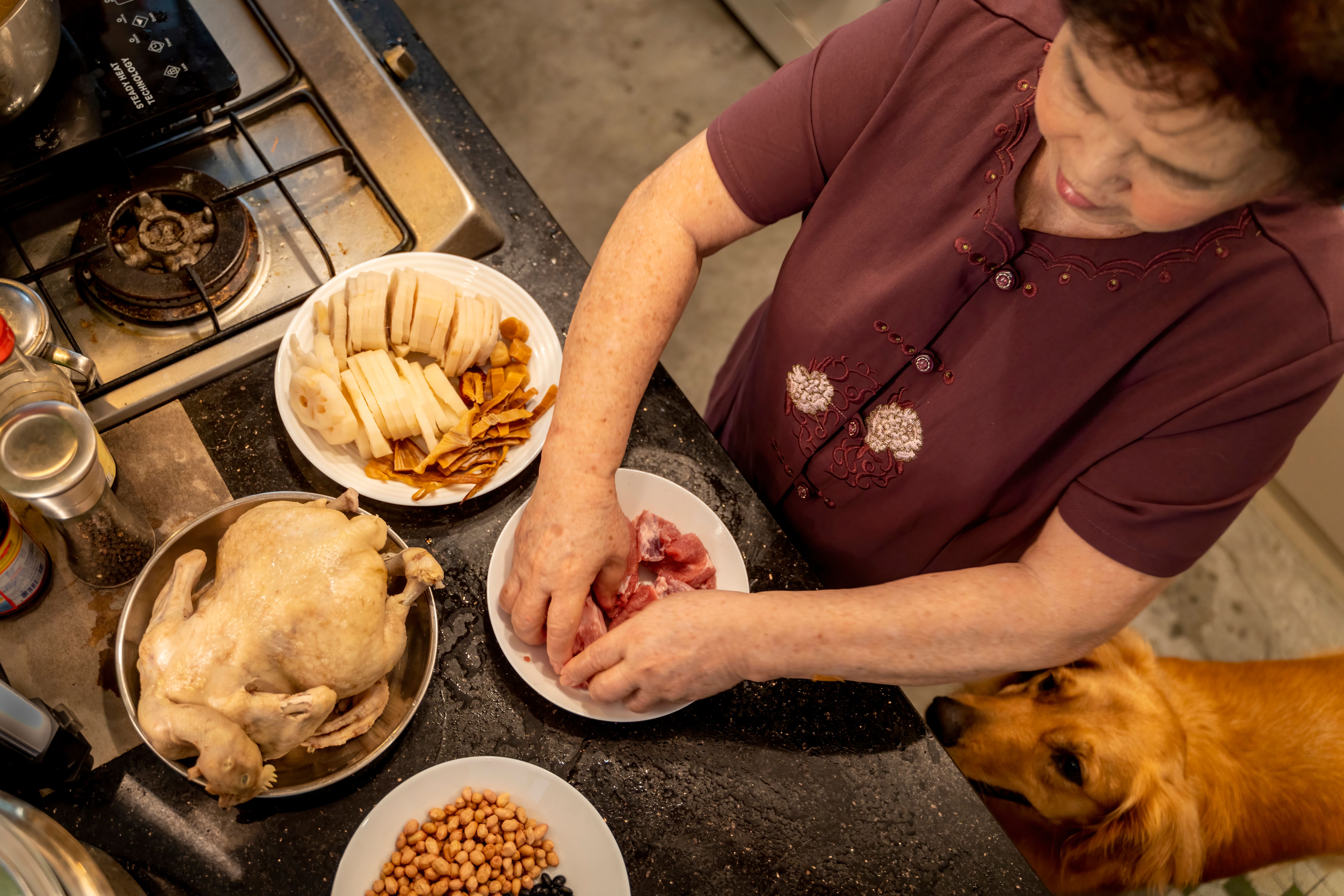 dog meal preparation