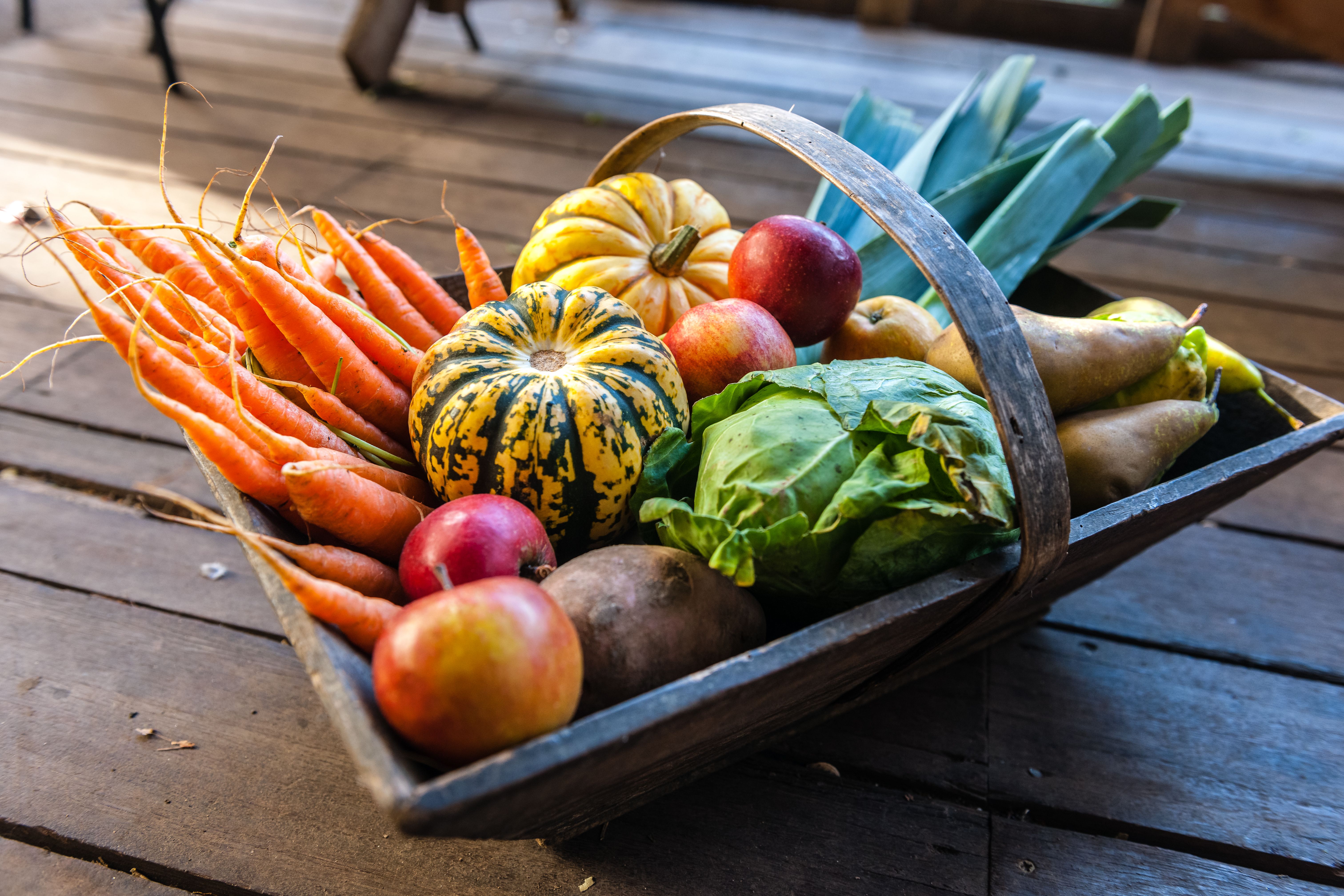 fall fruits vegetables