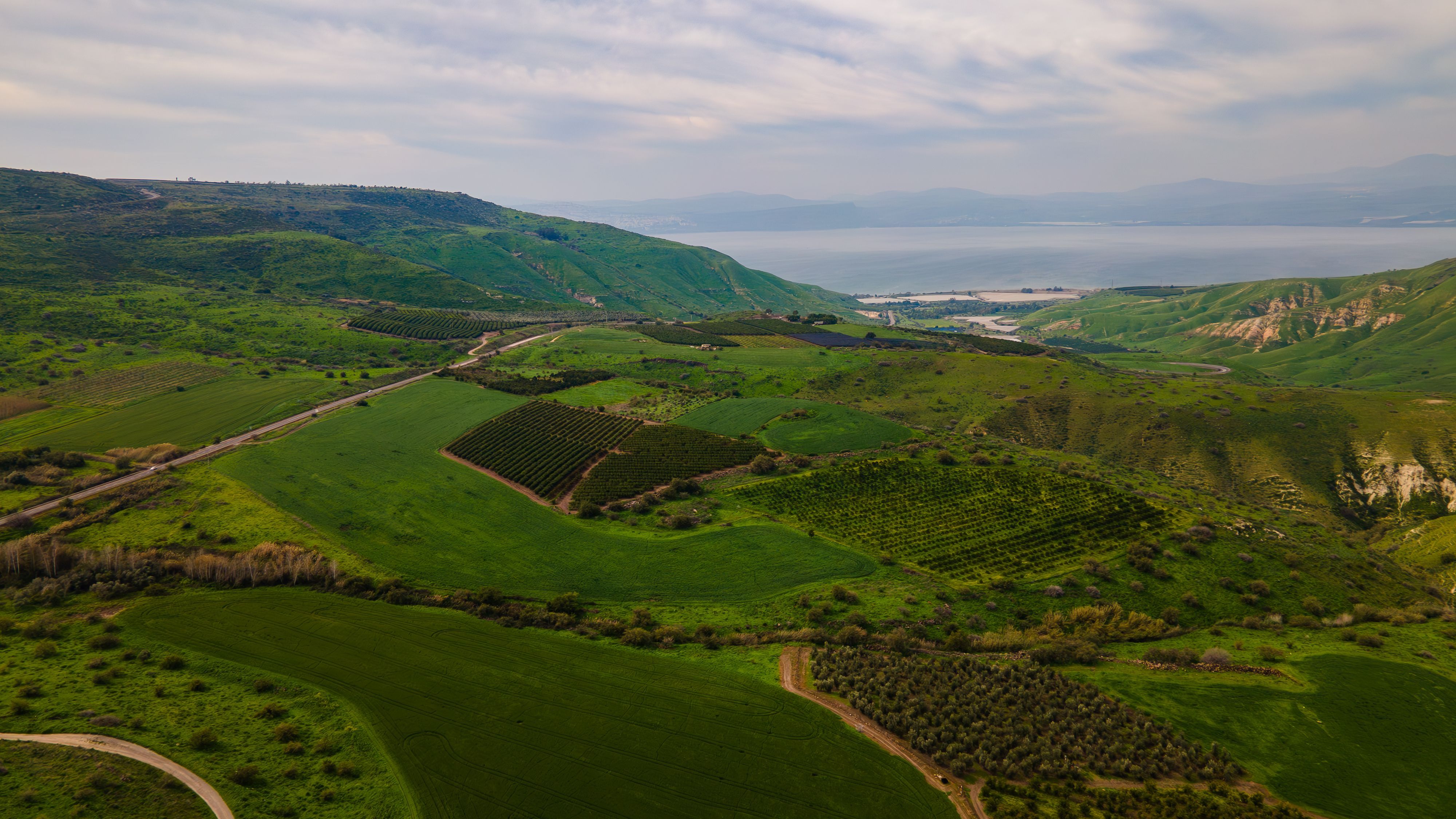 middle east agriculture