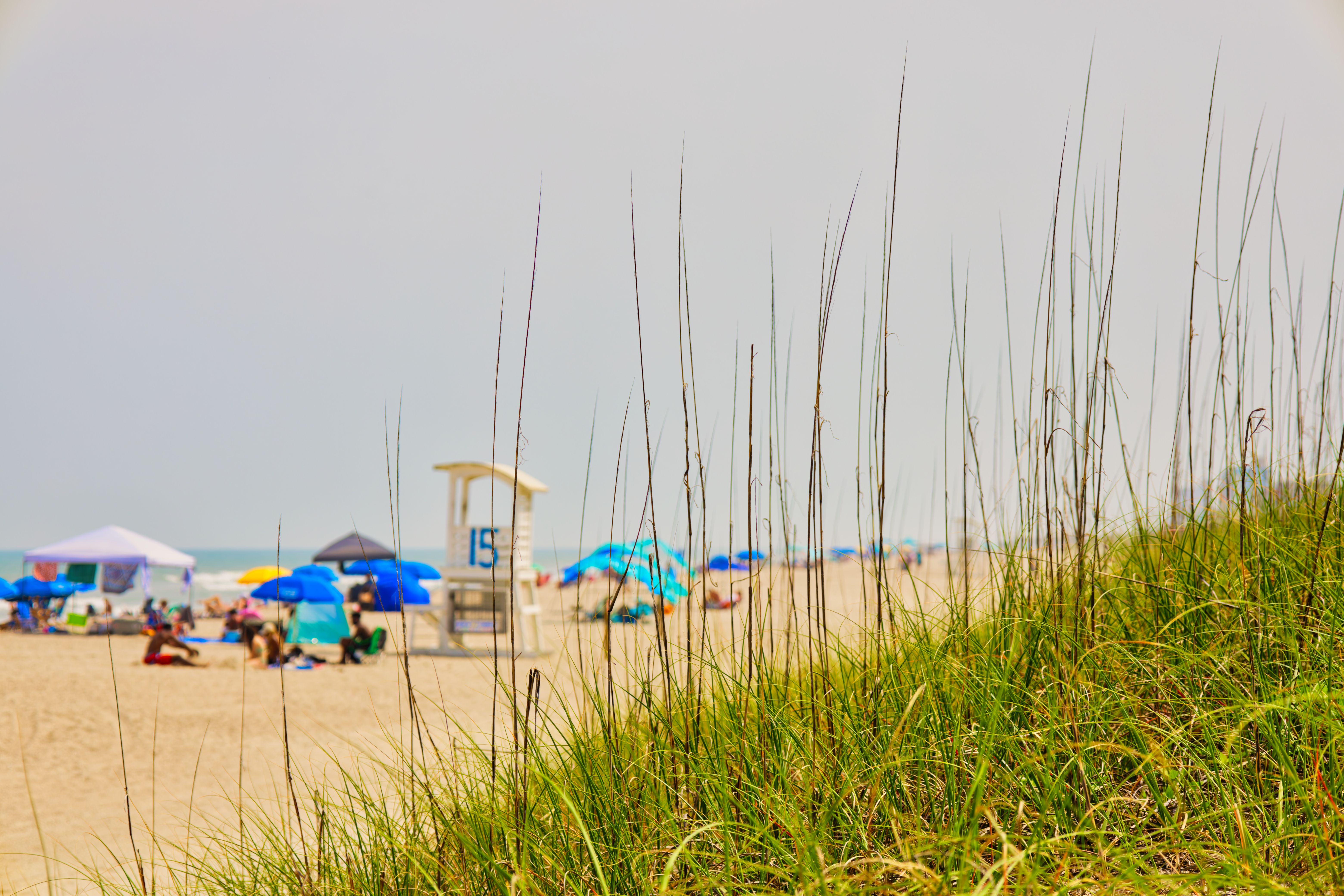 wilmington landscape
