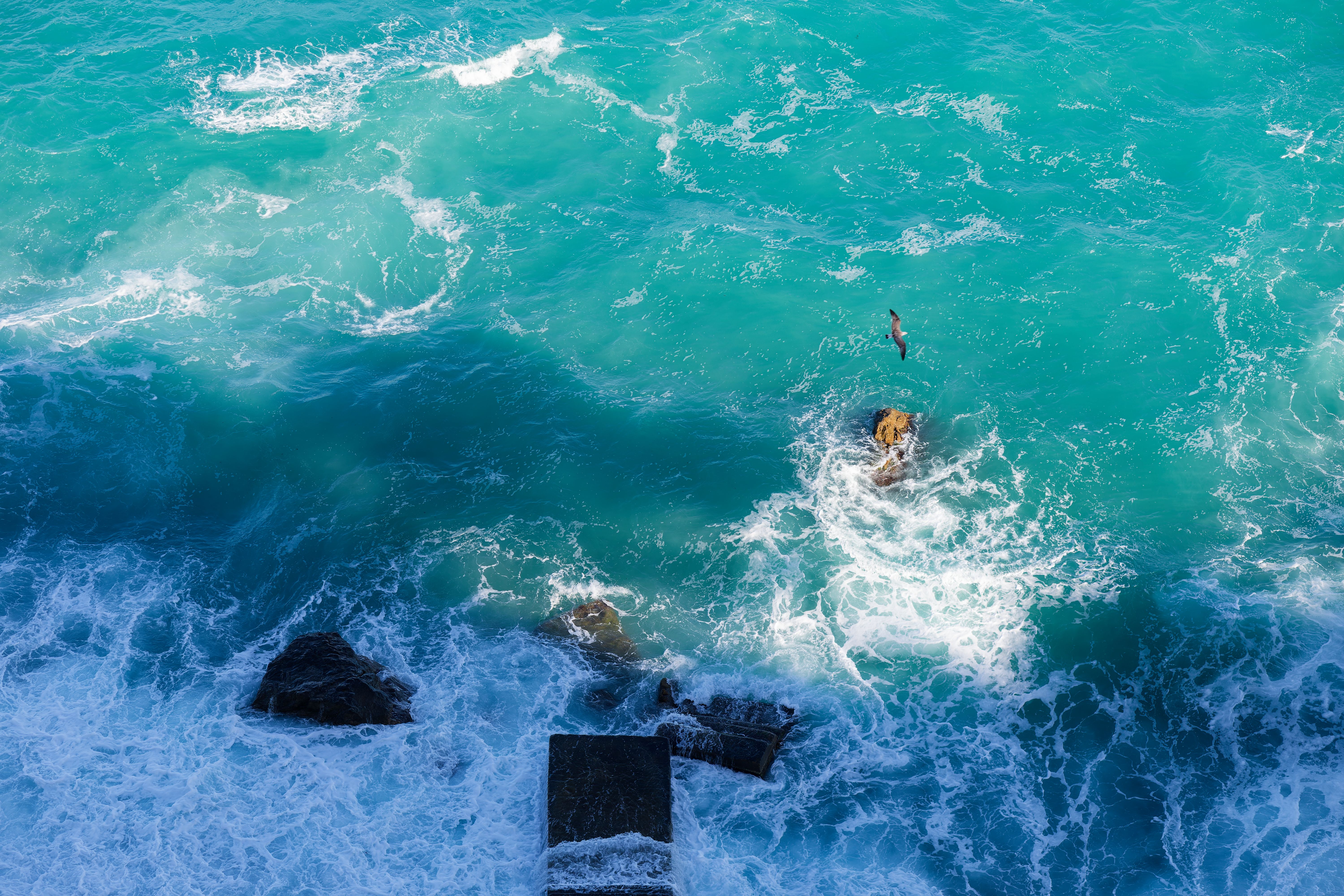white water rafting bali