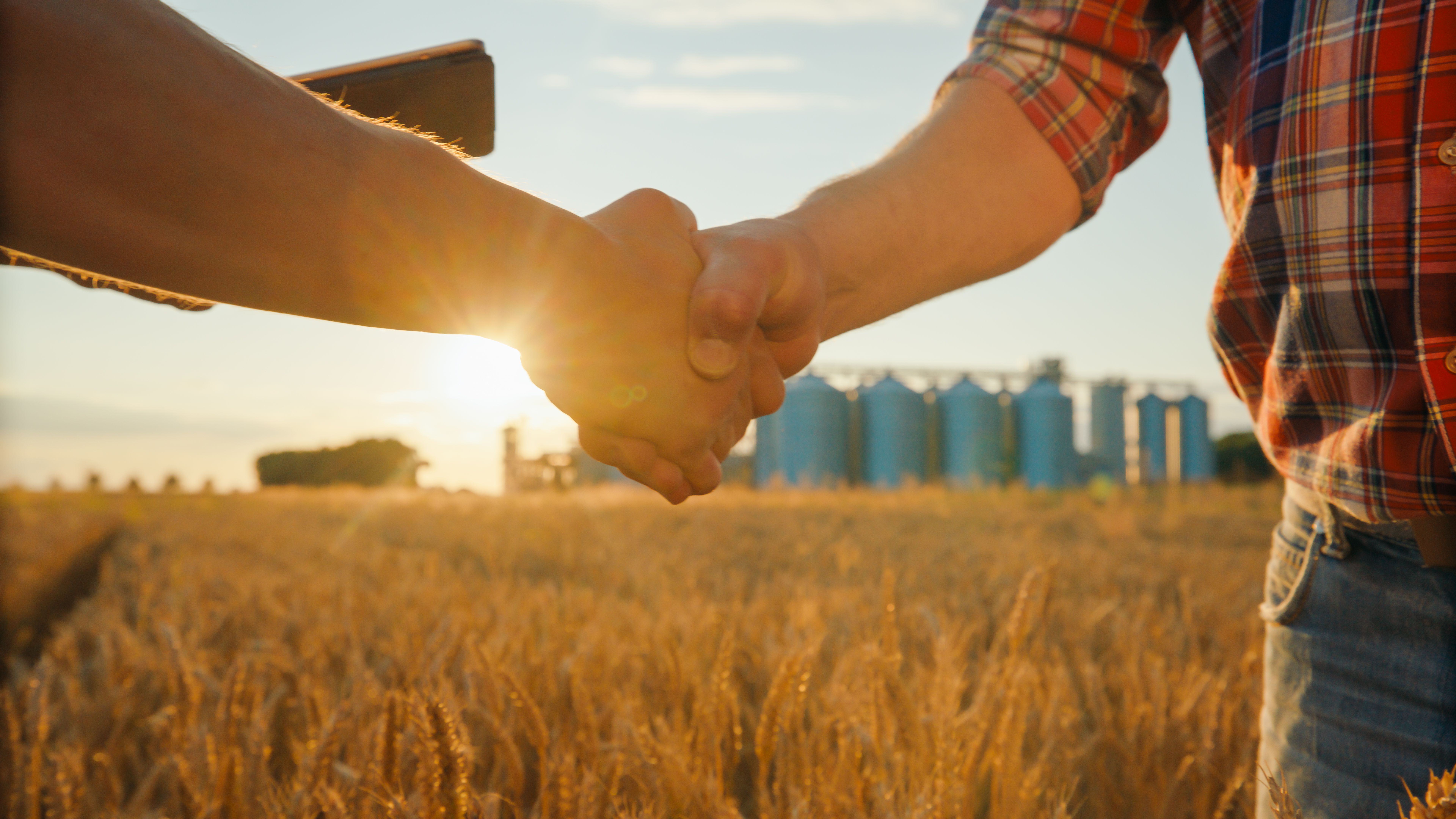 farmer strategies