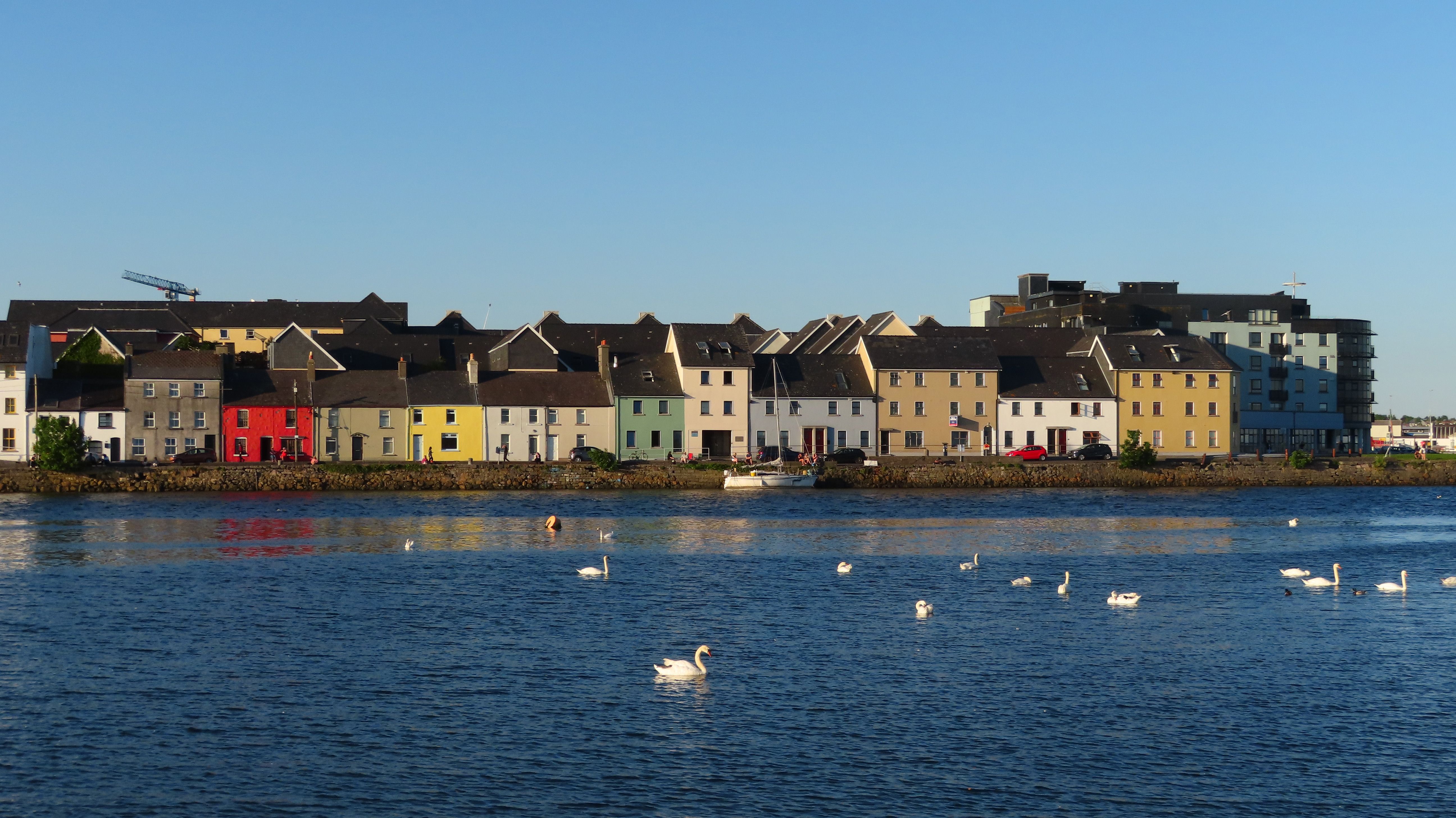 Colorful Buildings and Swans in Galway, Ireland