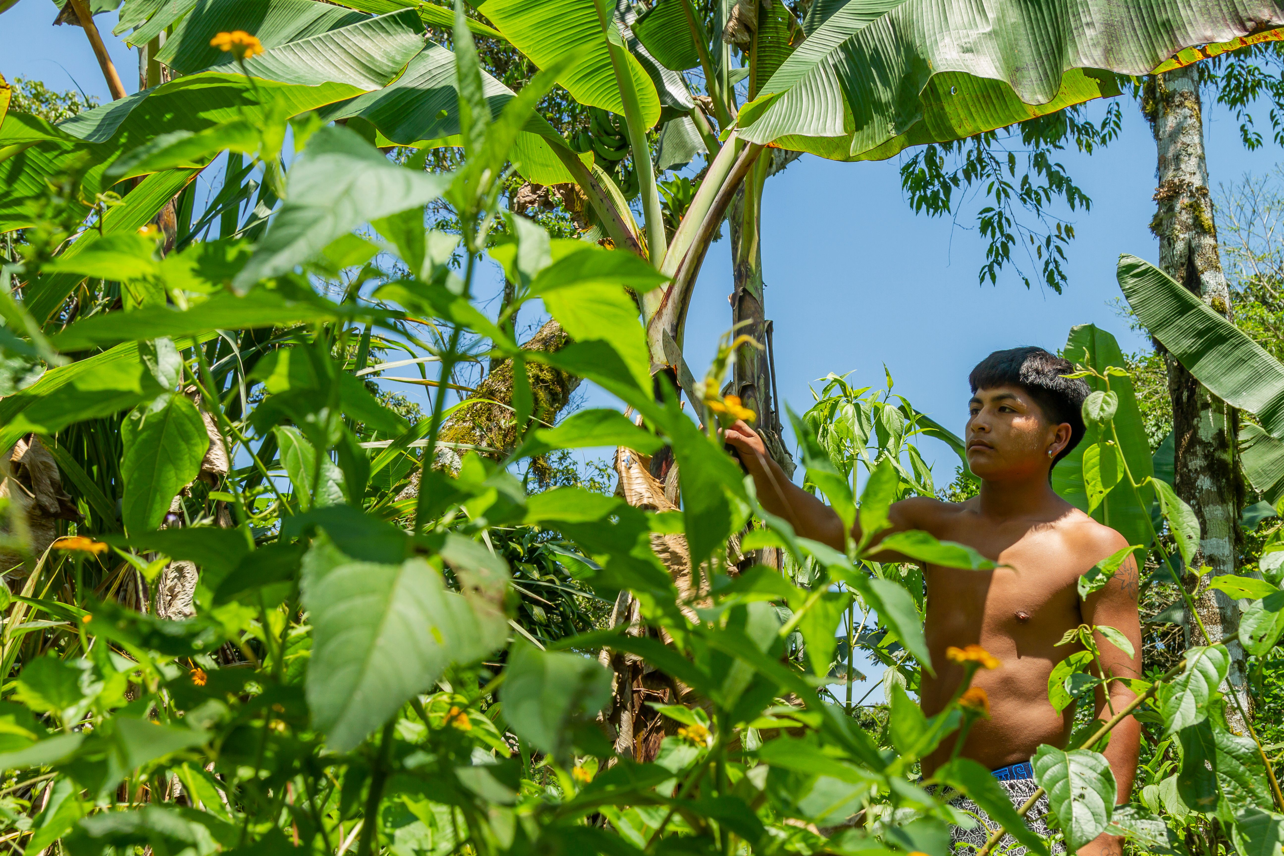 cooperative farming