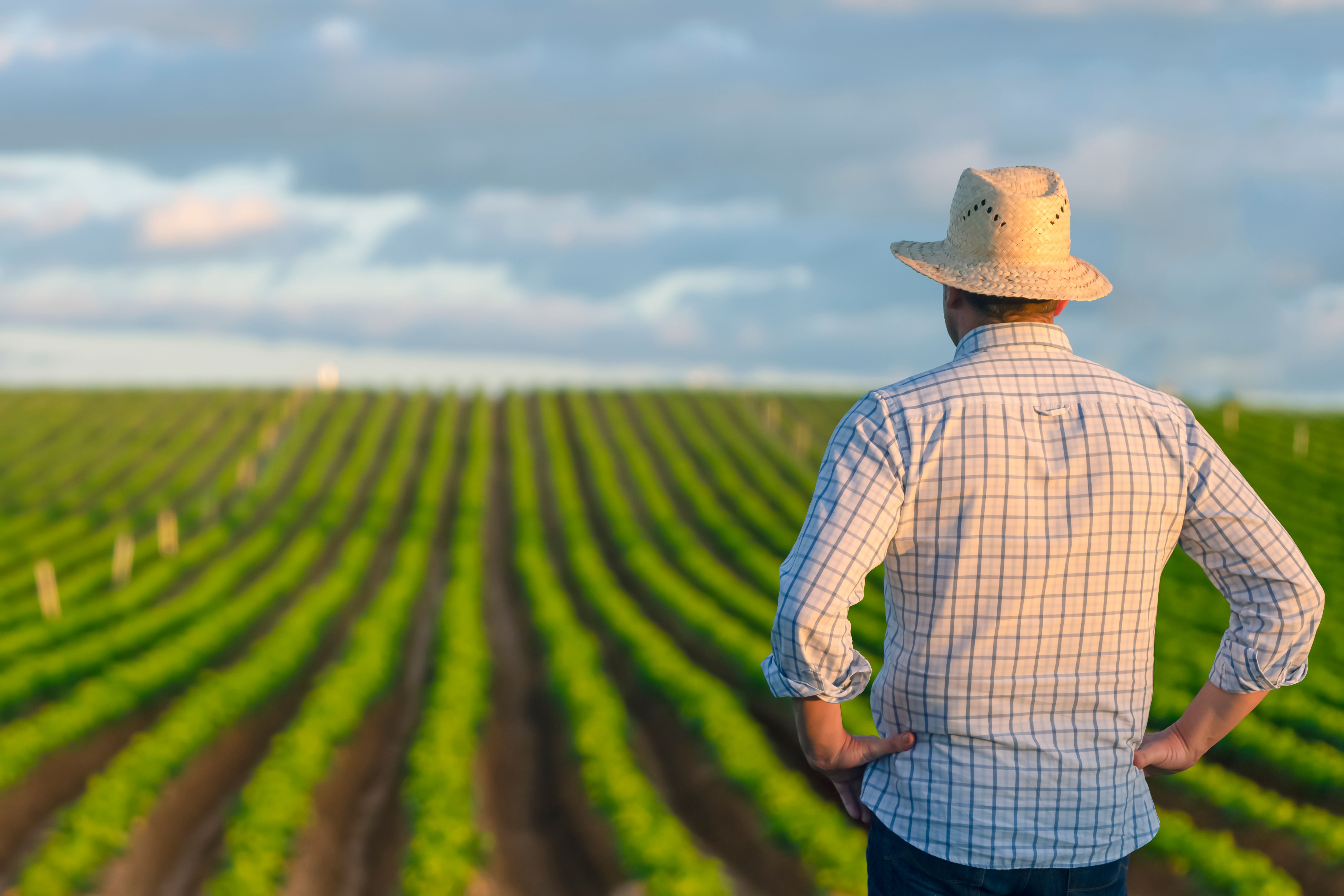 farm insurance
