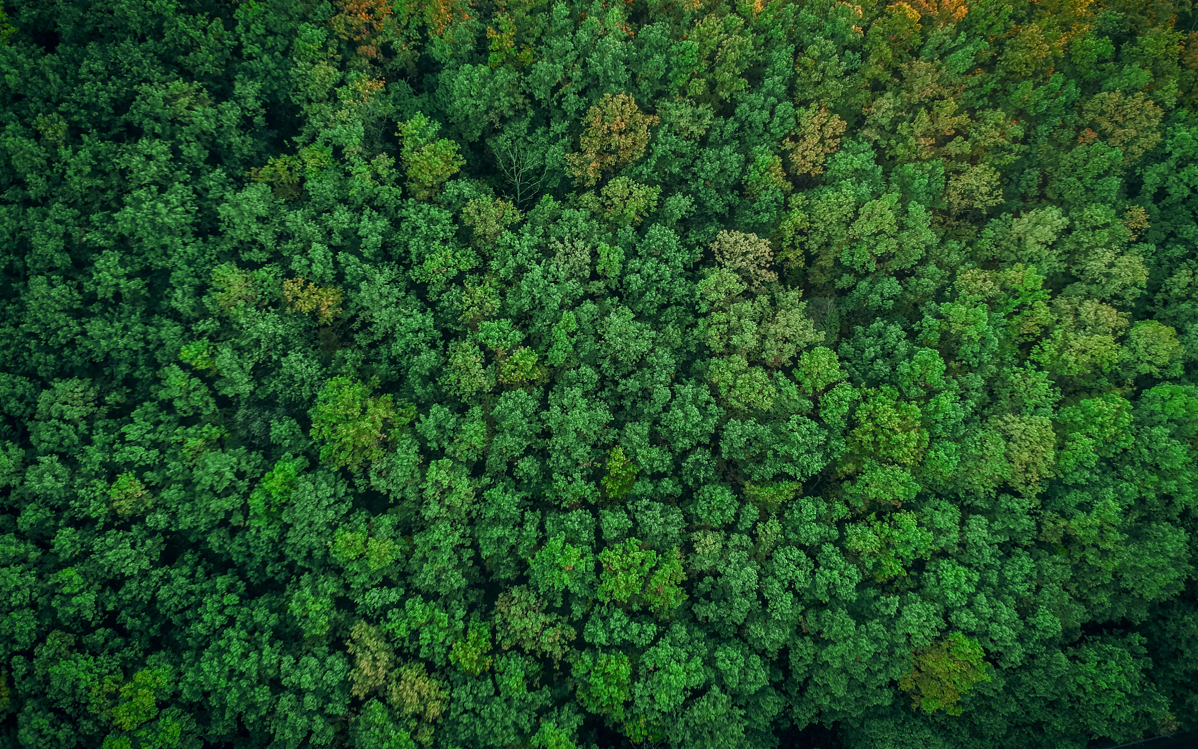 sustainable materials