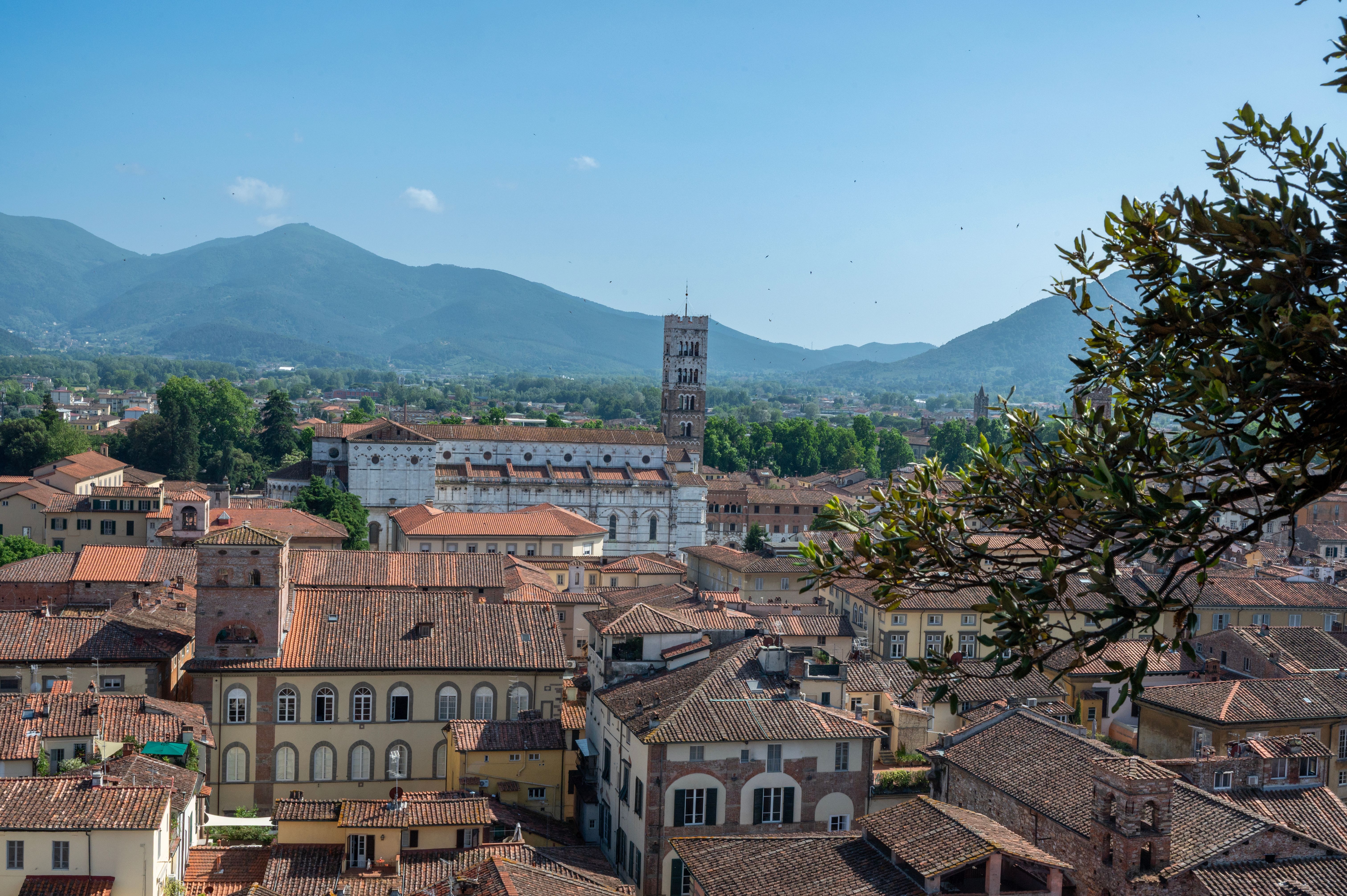 Lucca city