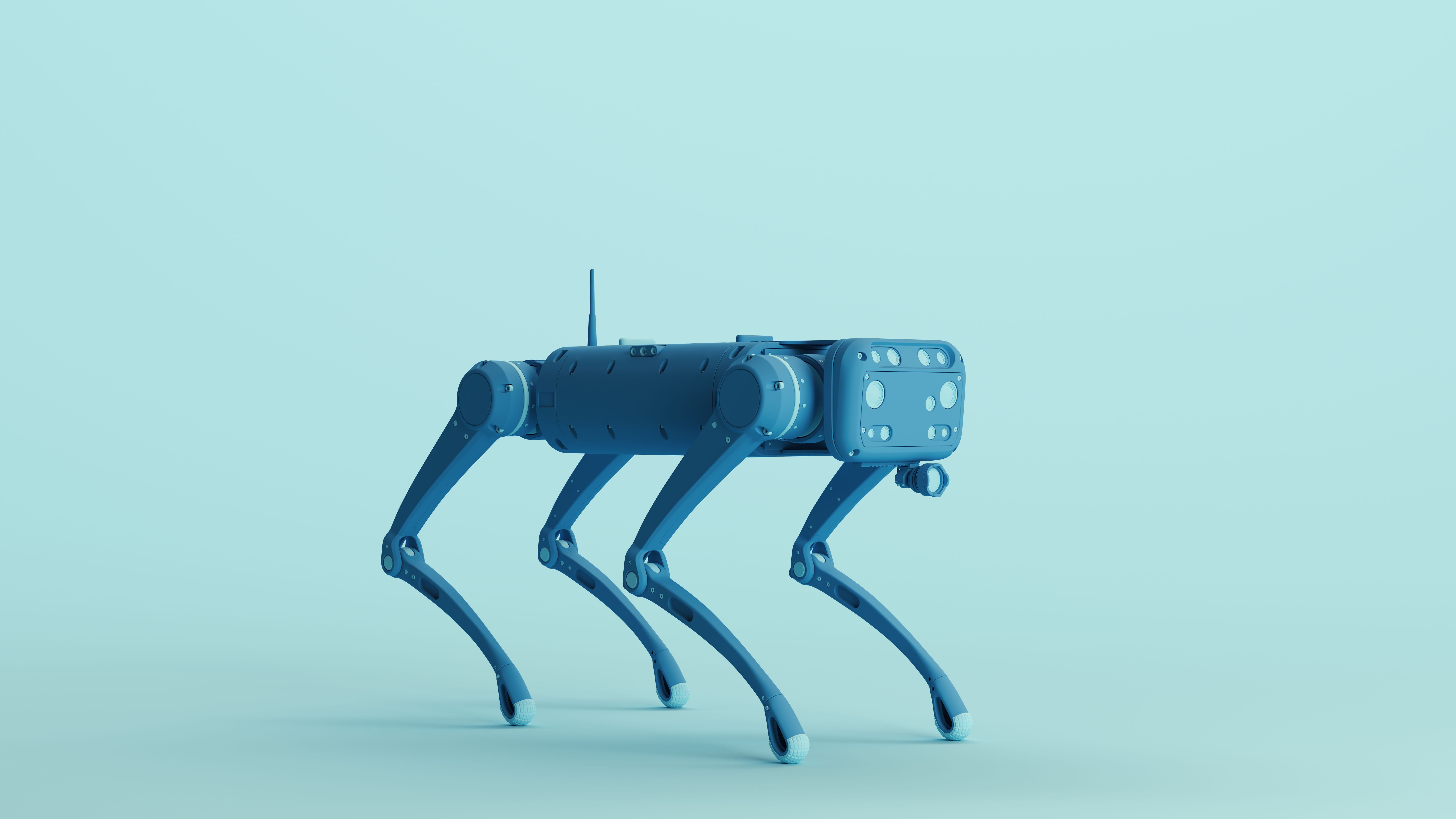 robot dog
