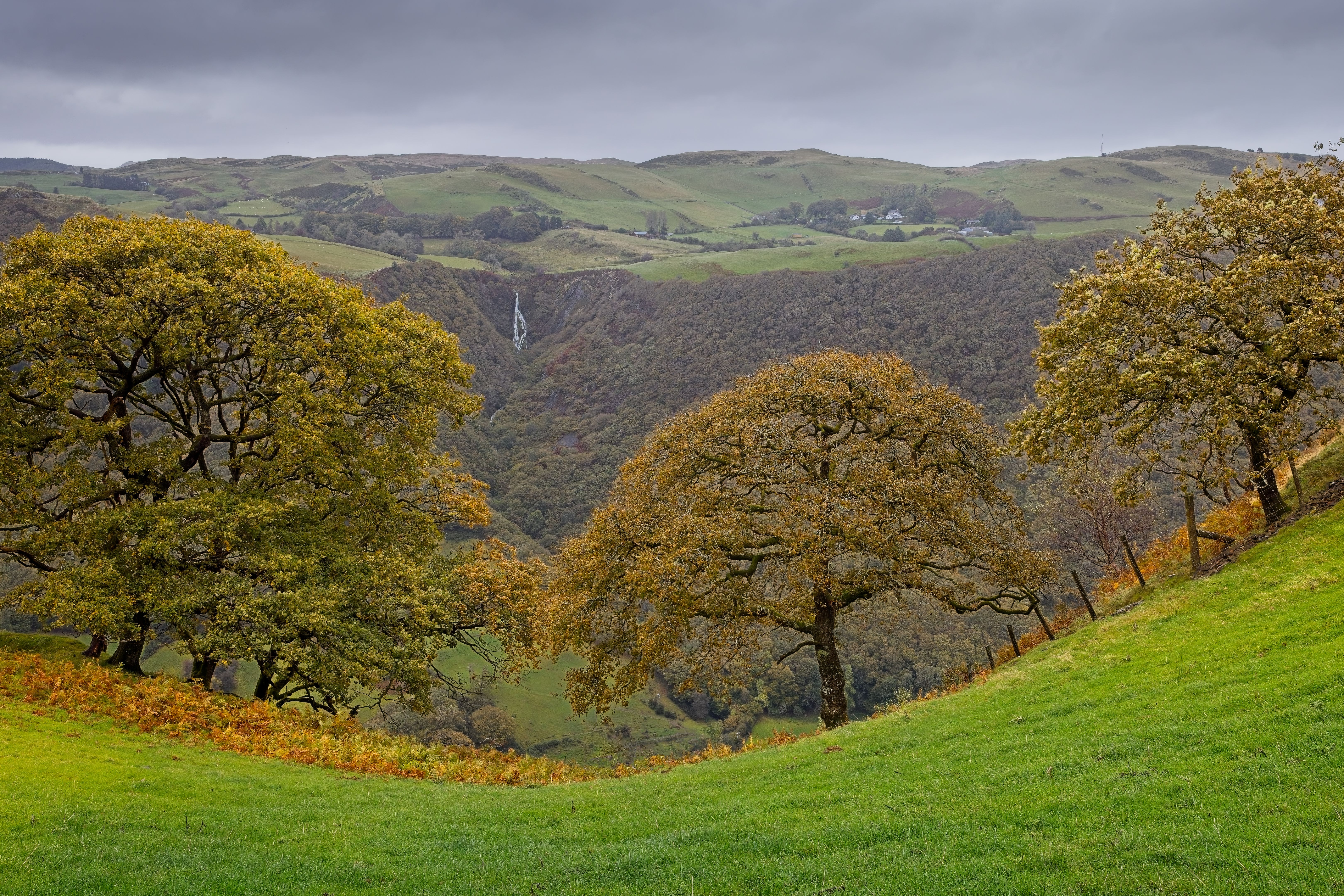 hill country landscape