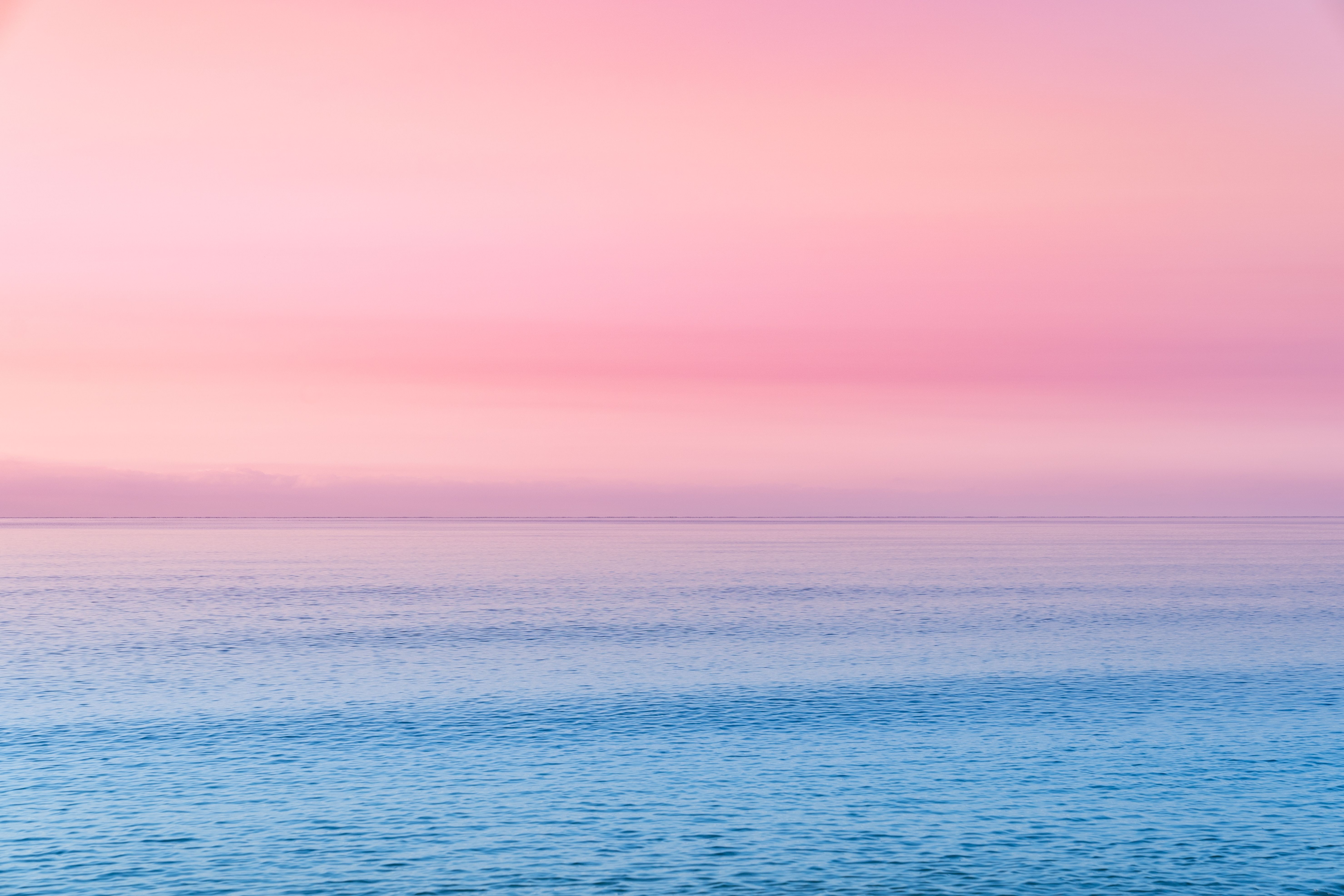 cotton candy flavors