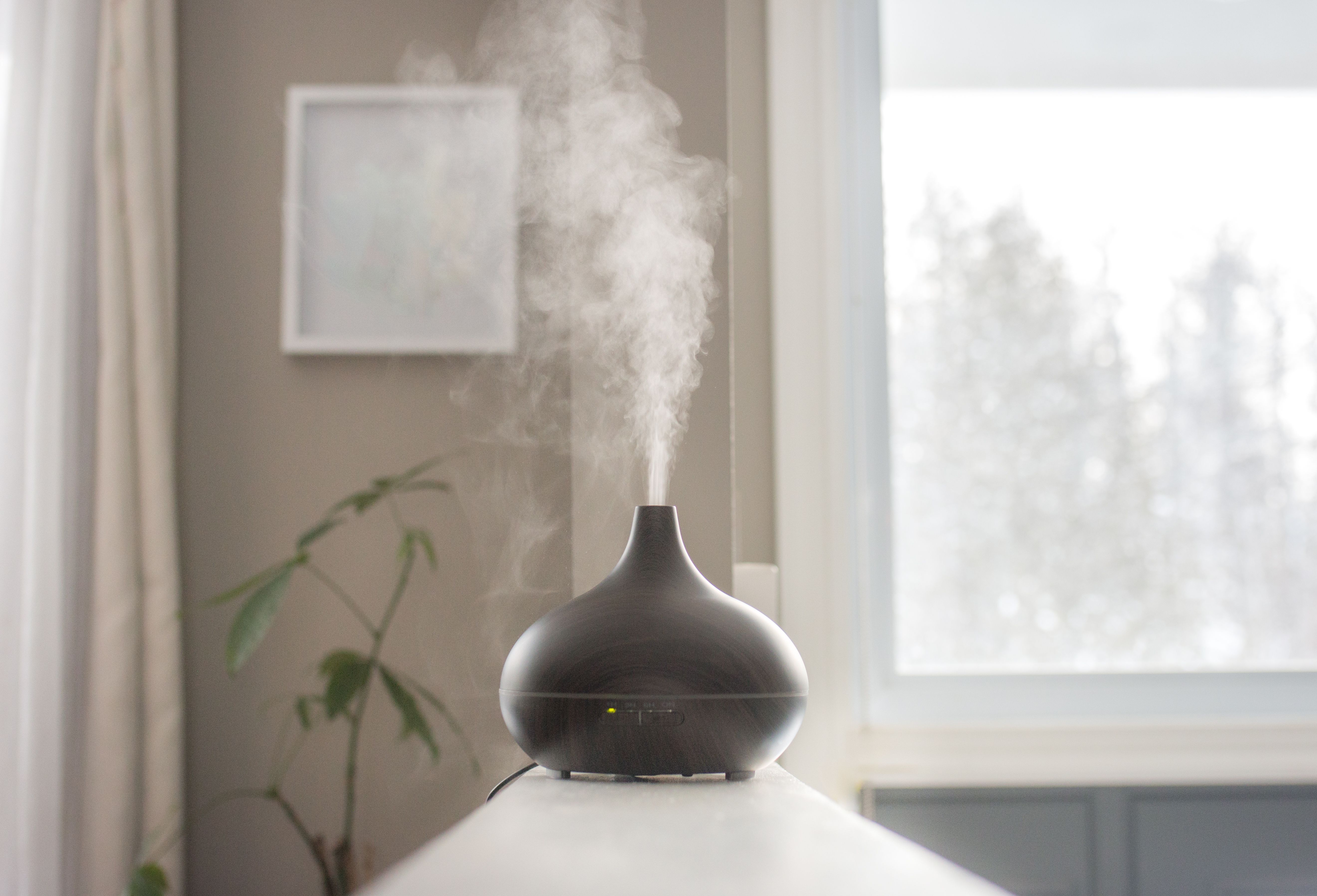 aromatherapy diffuser
