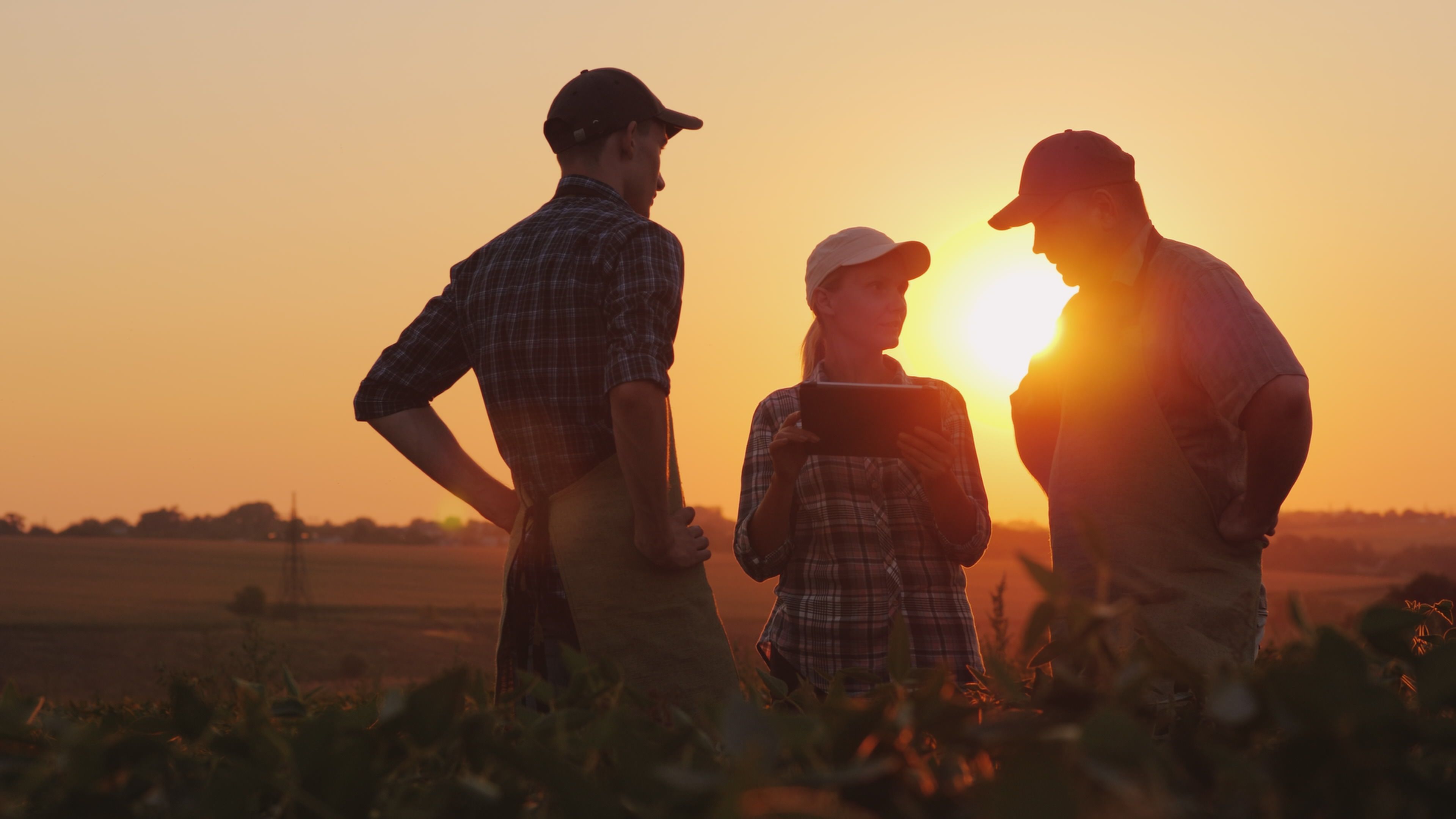 farm team