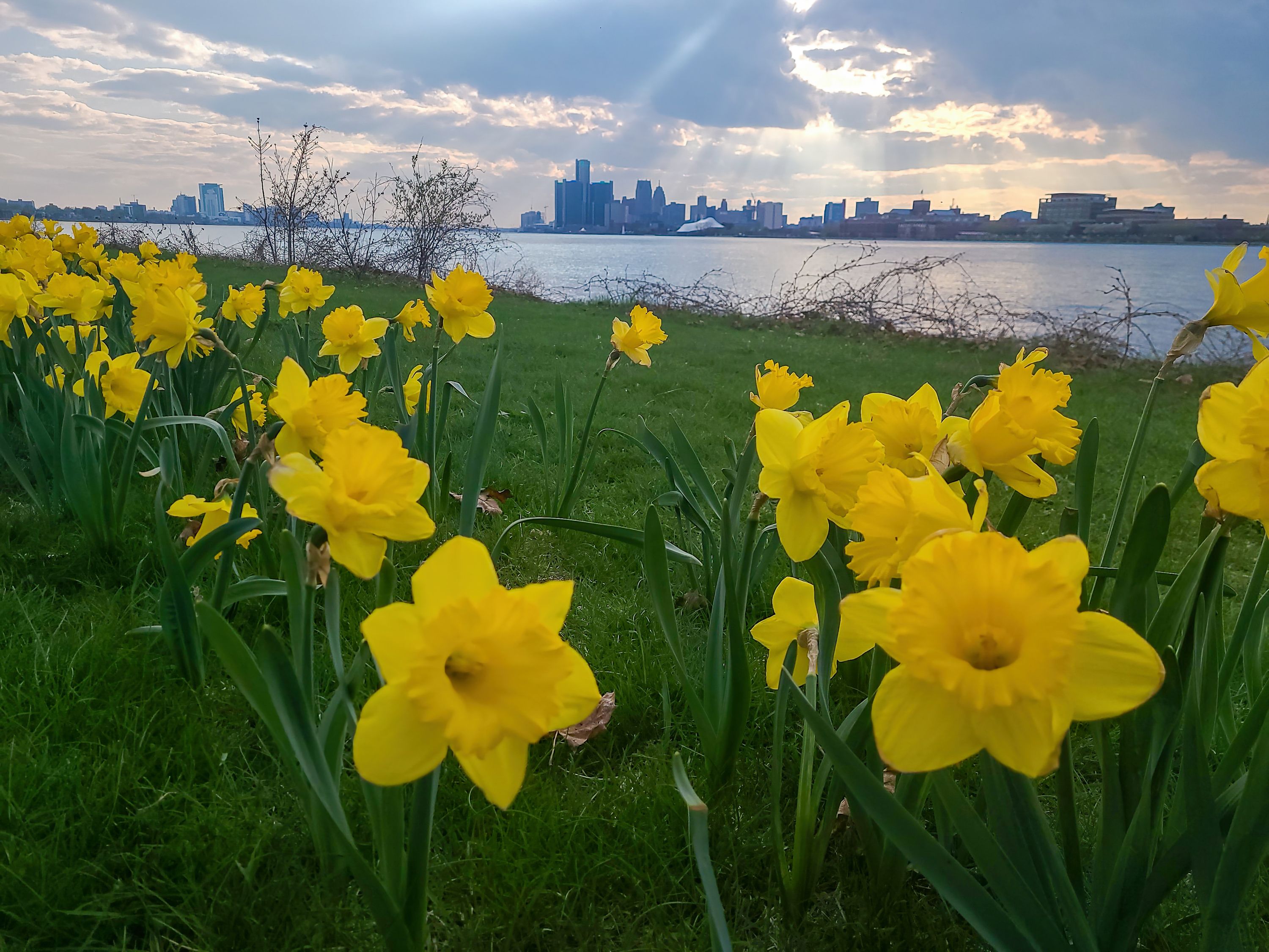 spring detroit