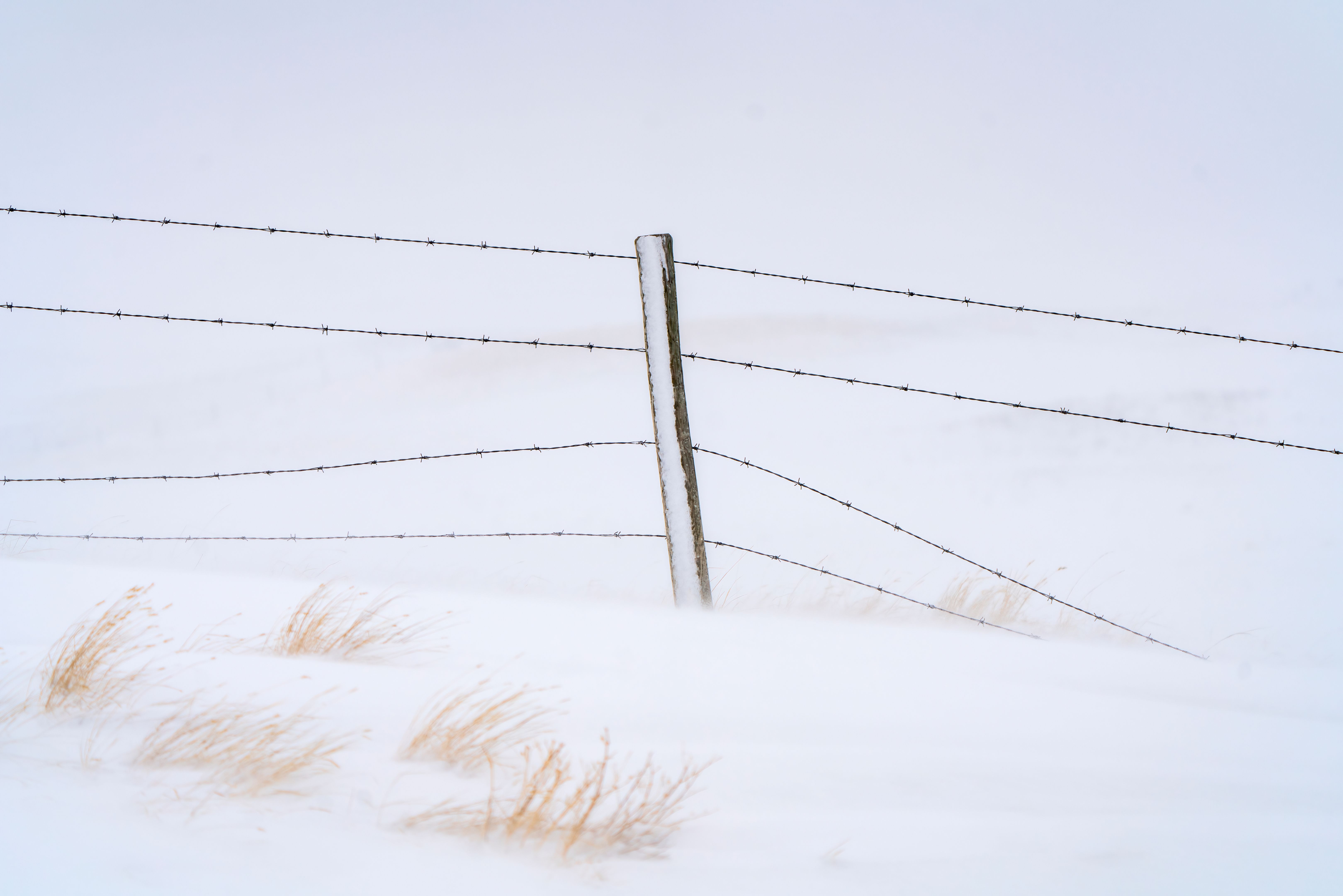 montana weather