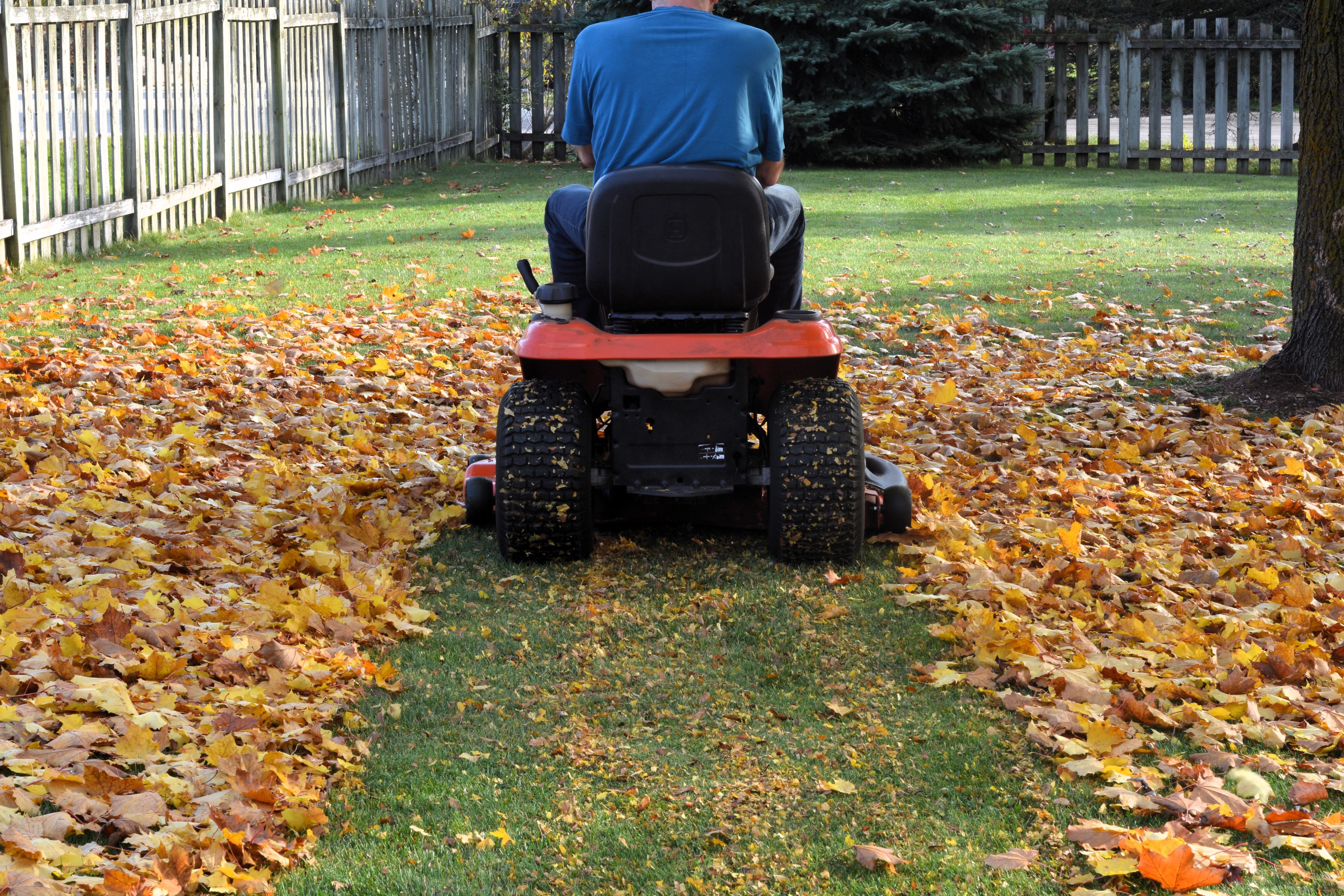 biodegradable cutter