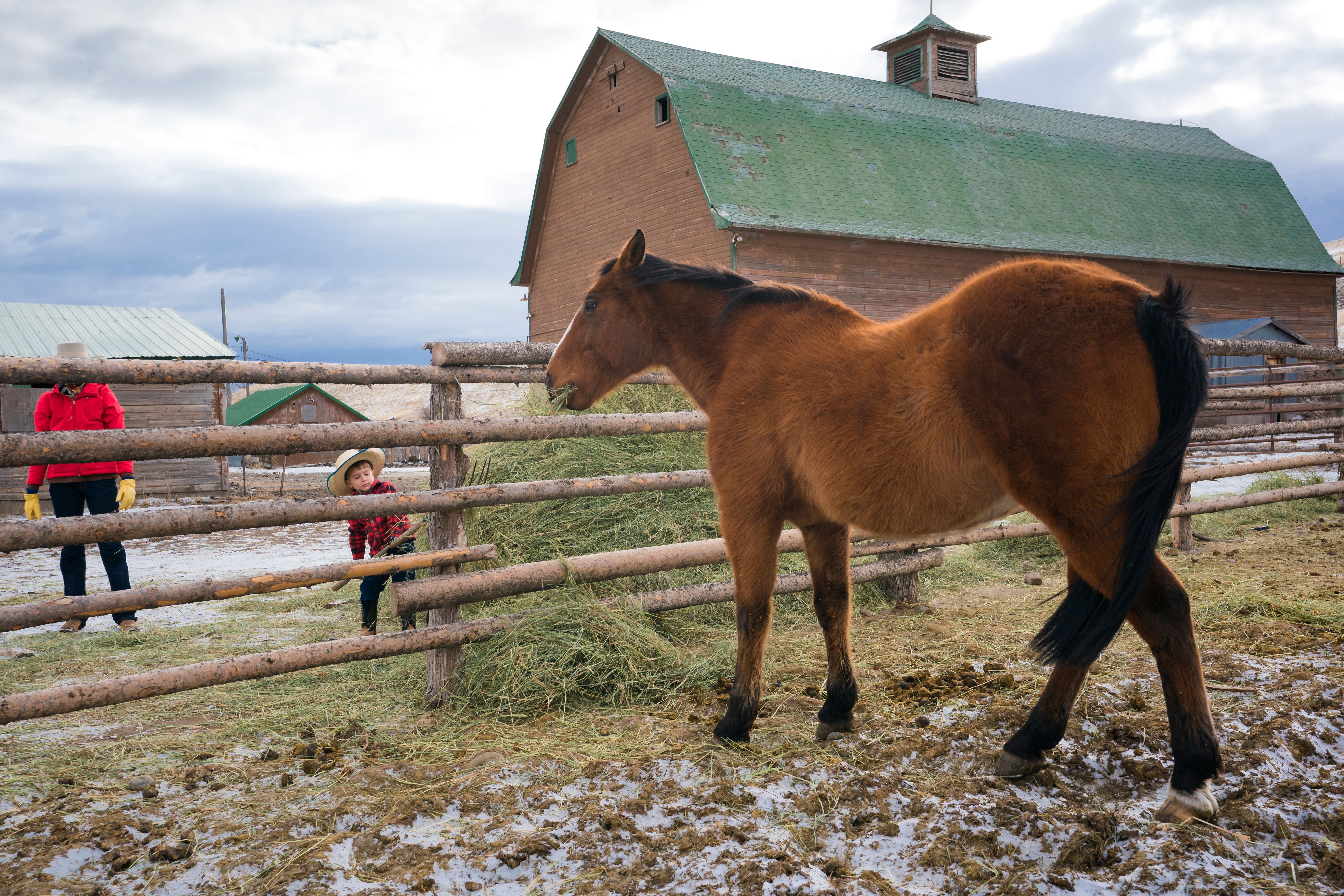 paradise valley homes