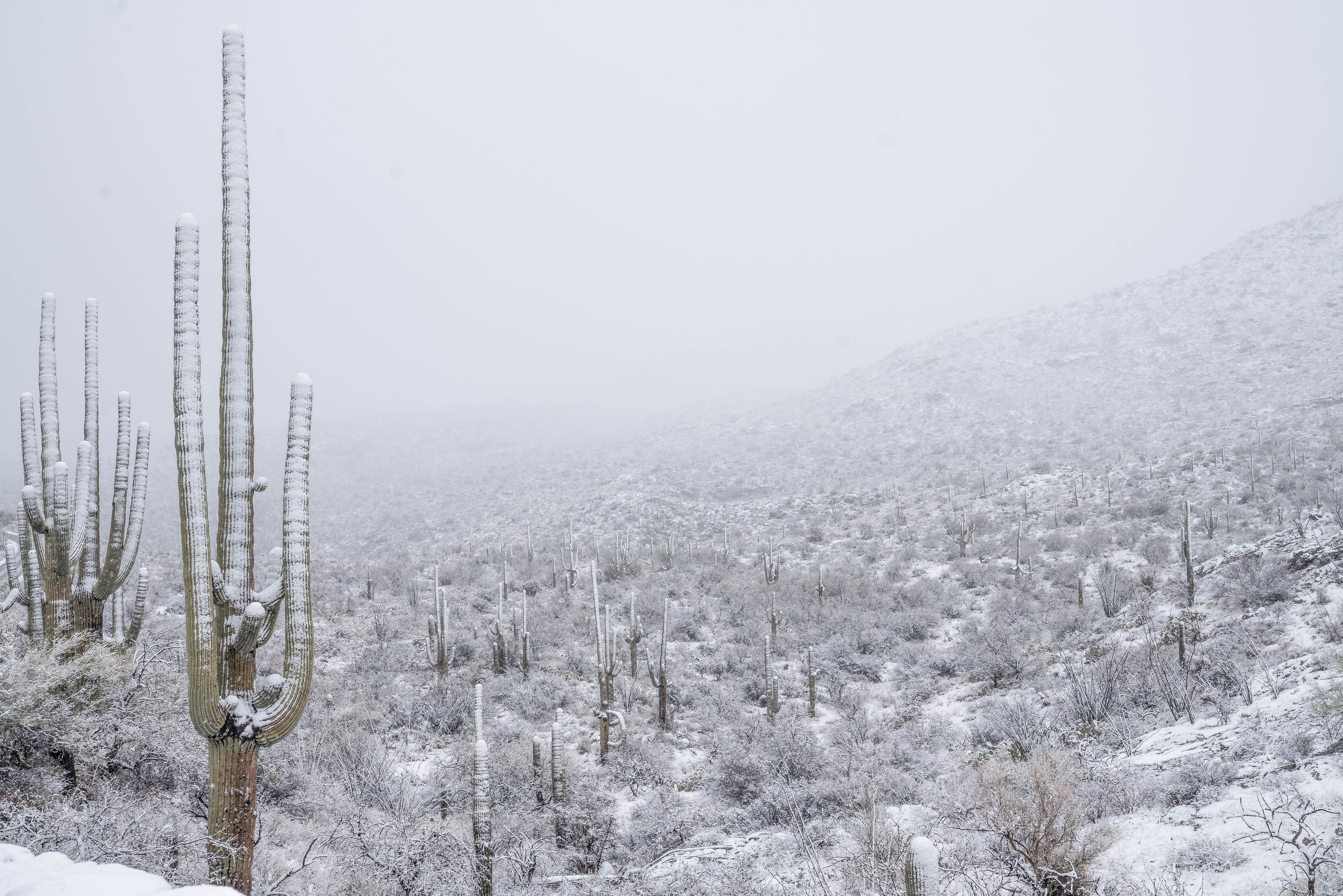 Scottsdale vacation rental