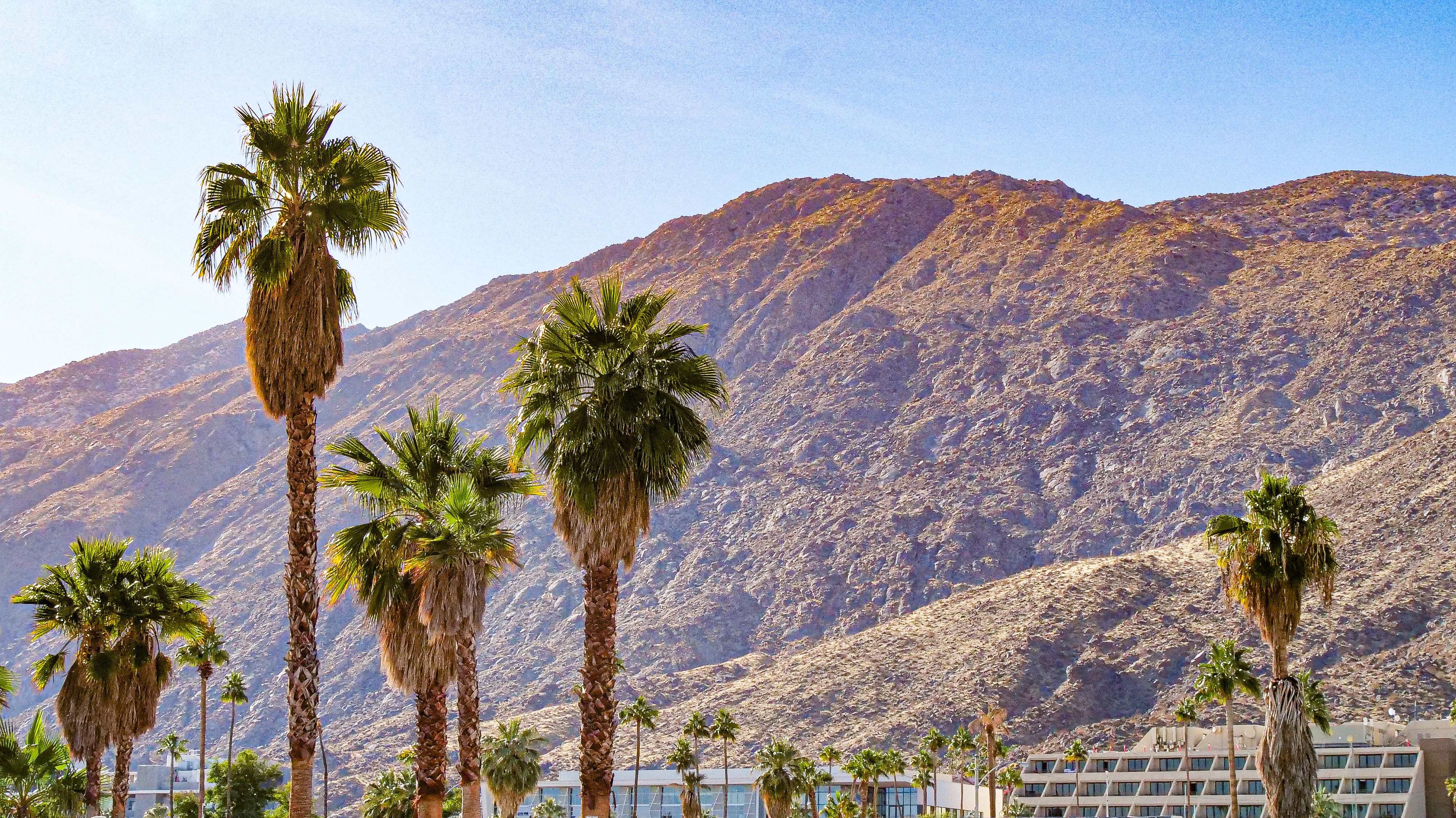 palm desert climate