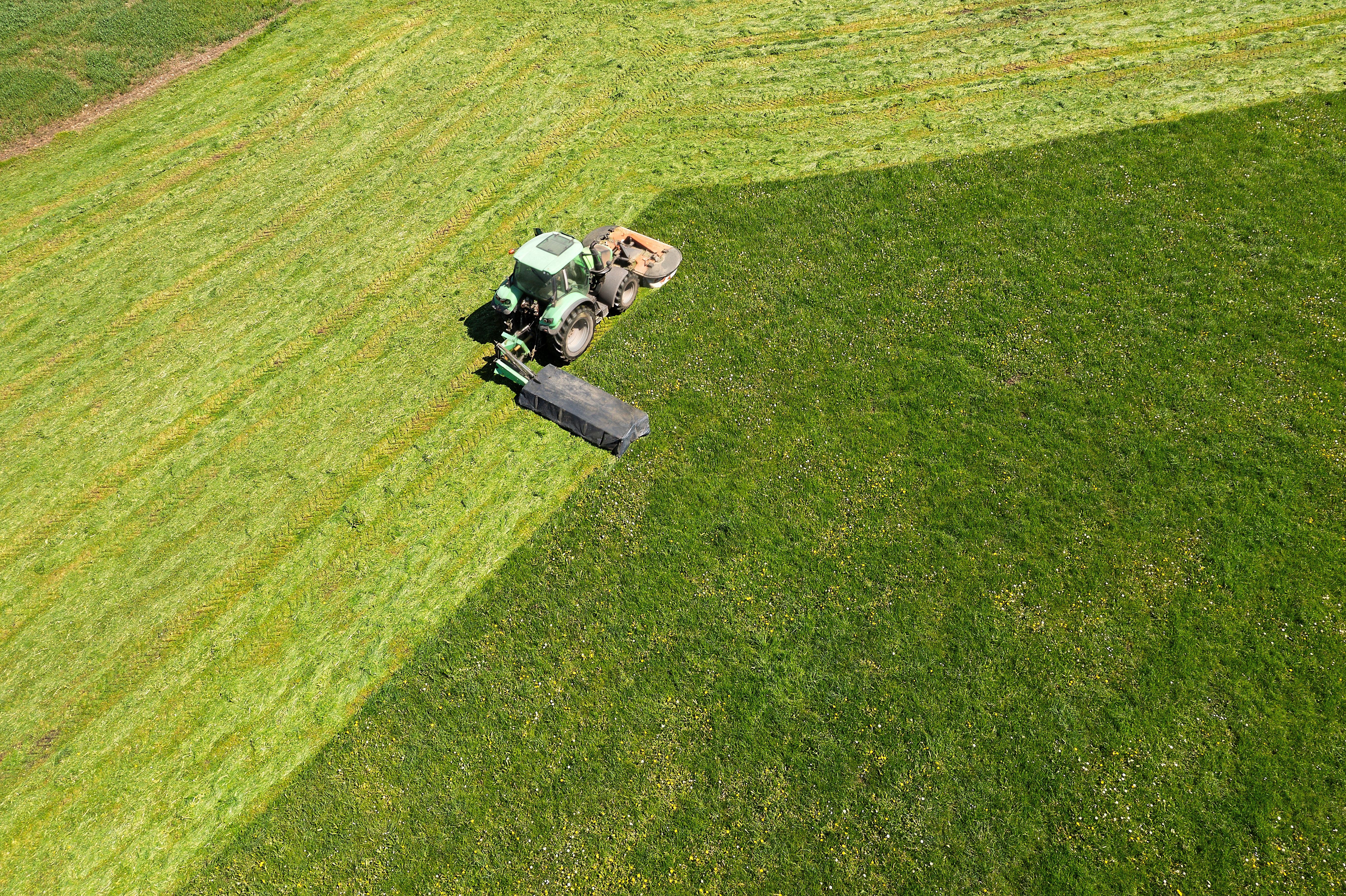 eco friendly lawn care