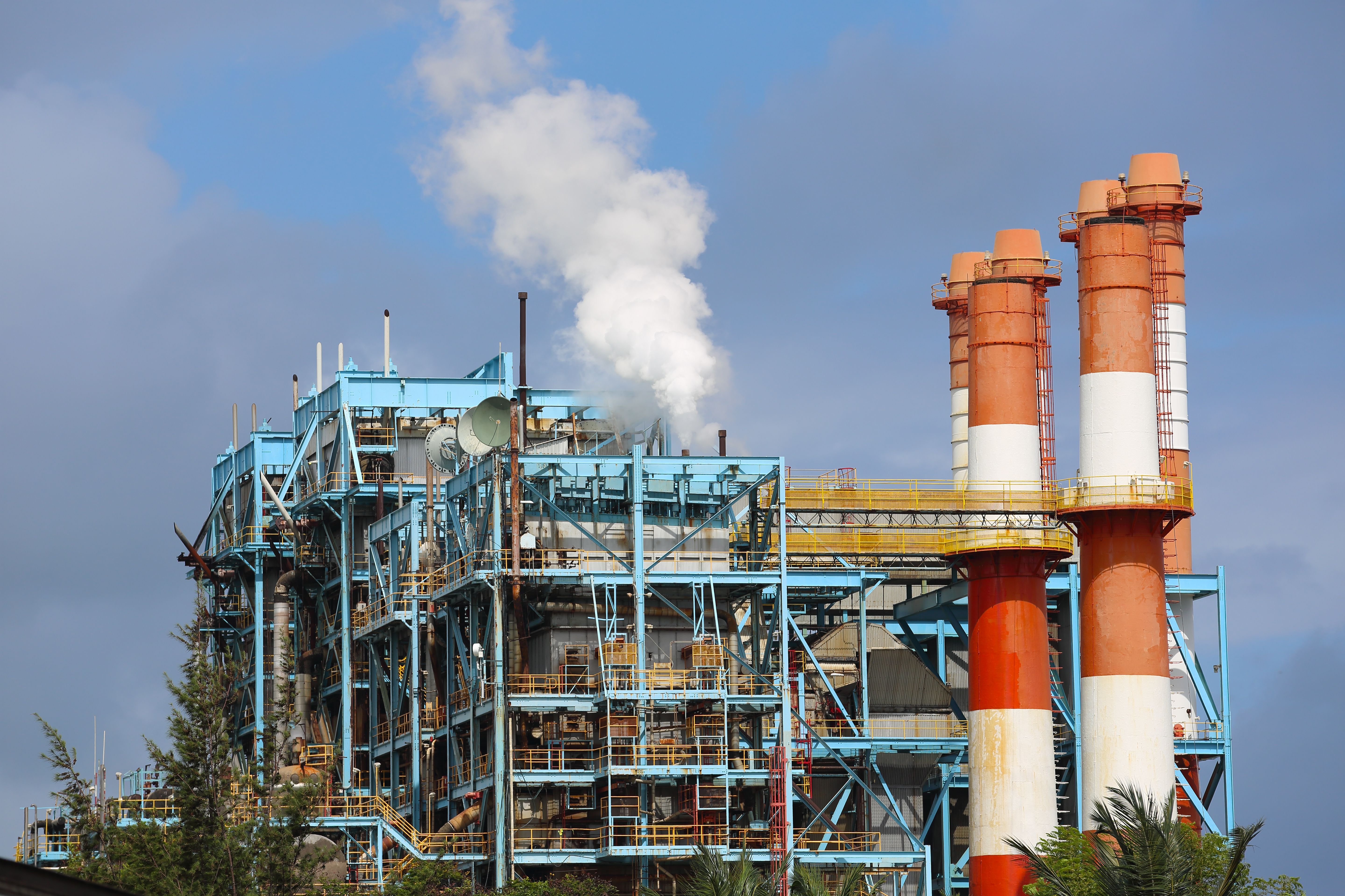 puerto rico workplace