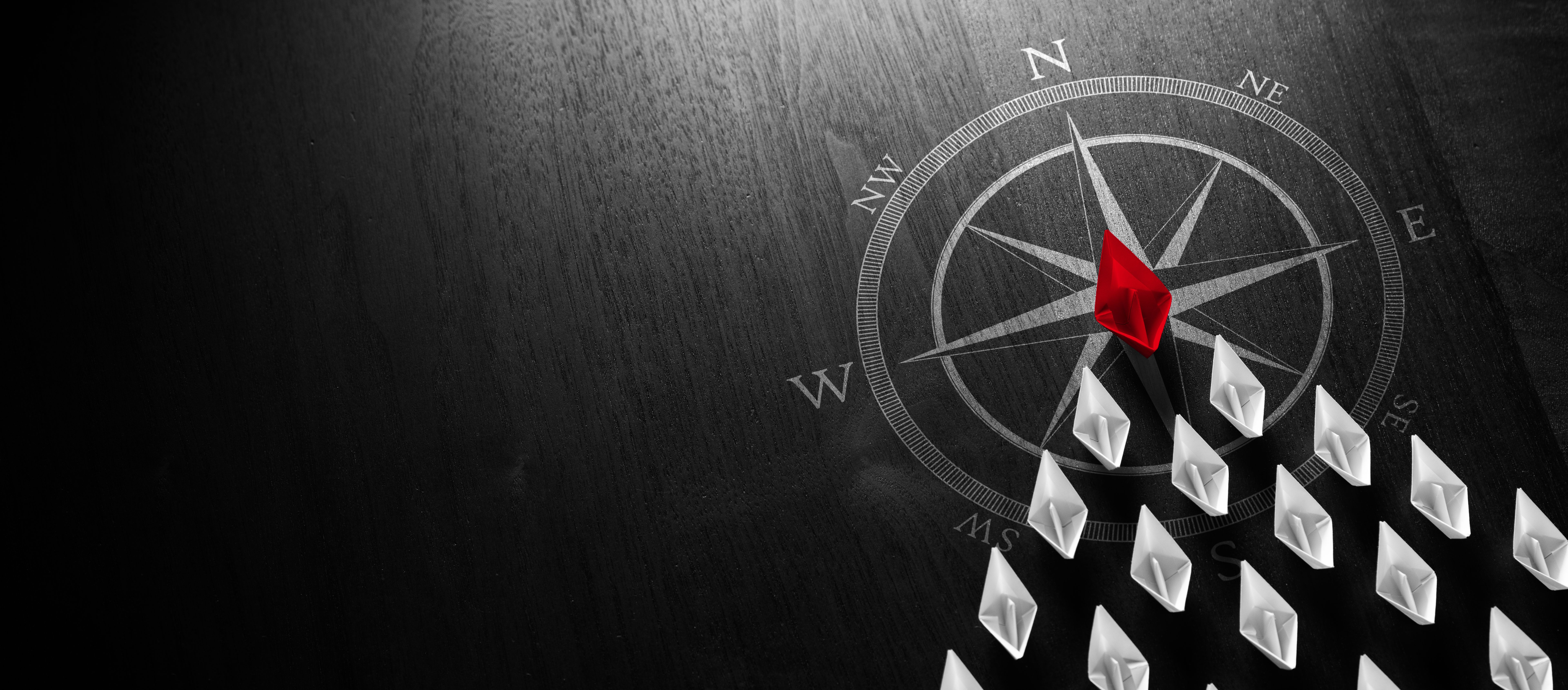 role model mentorship