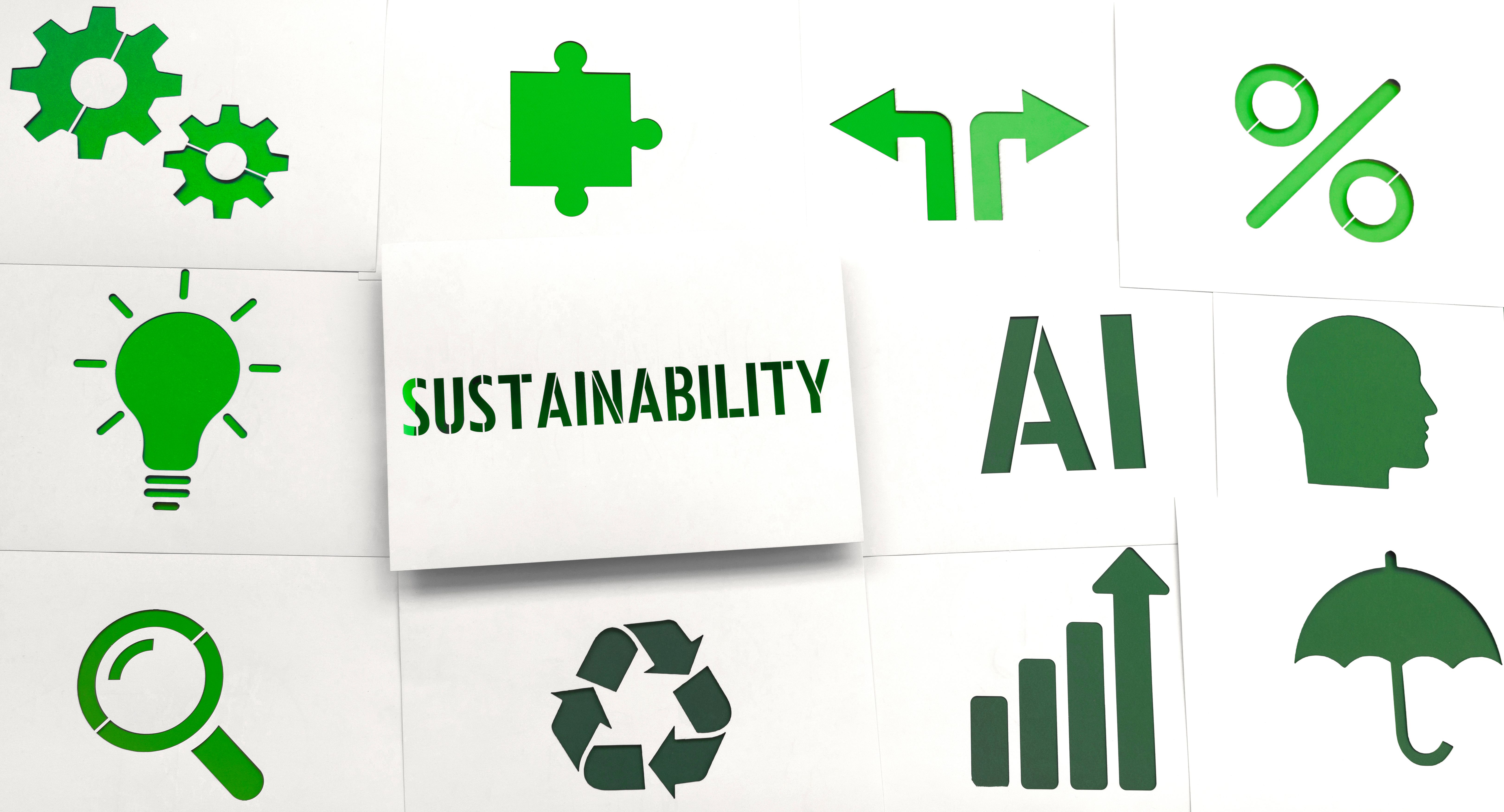 sostenibilidad empresa