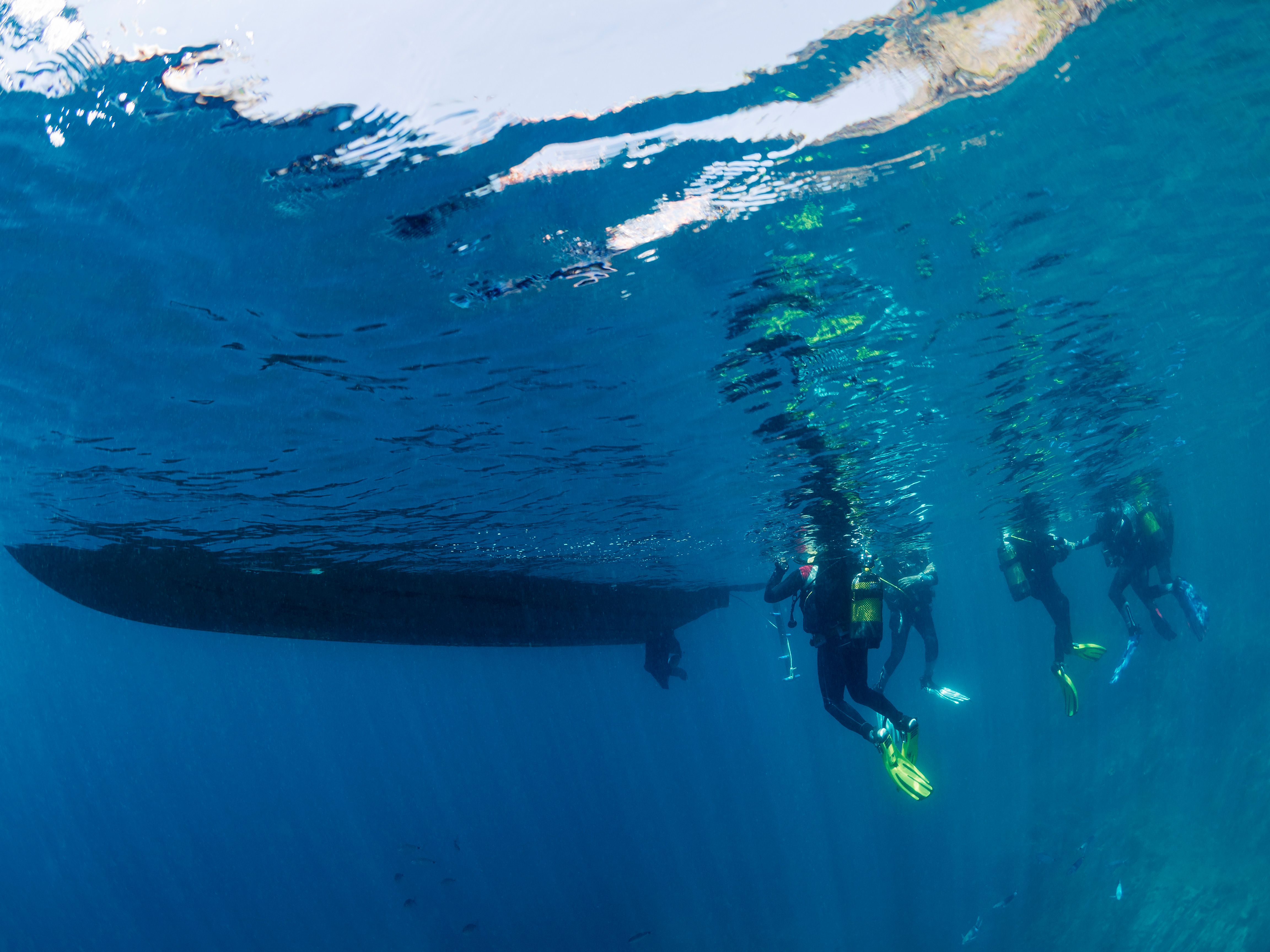 diving buddies