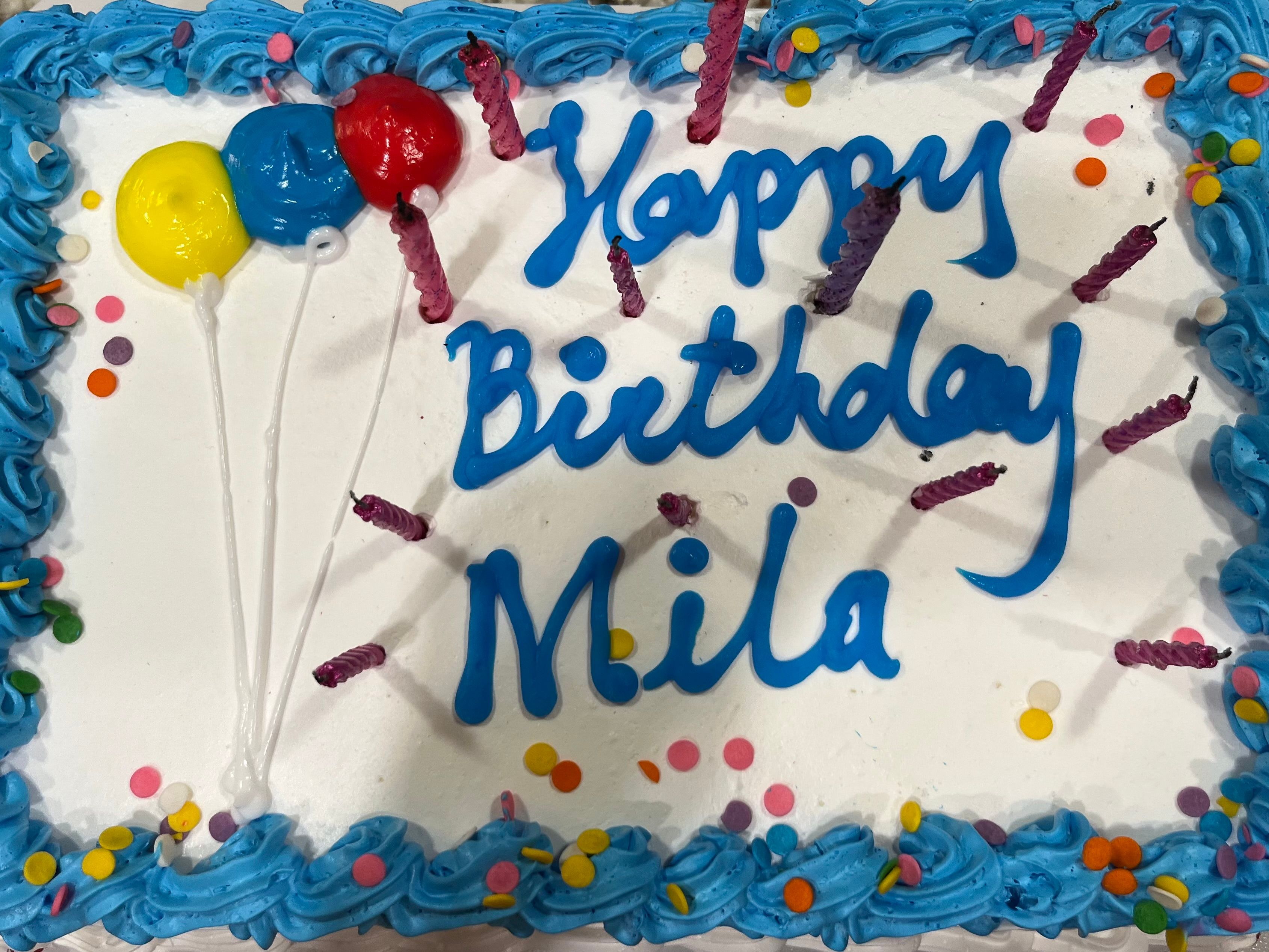 happy party ice cream cake