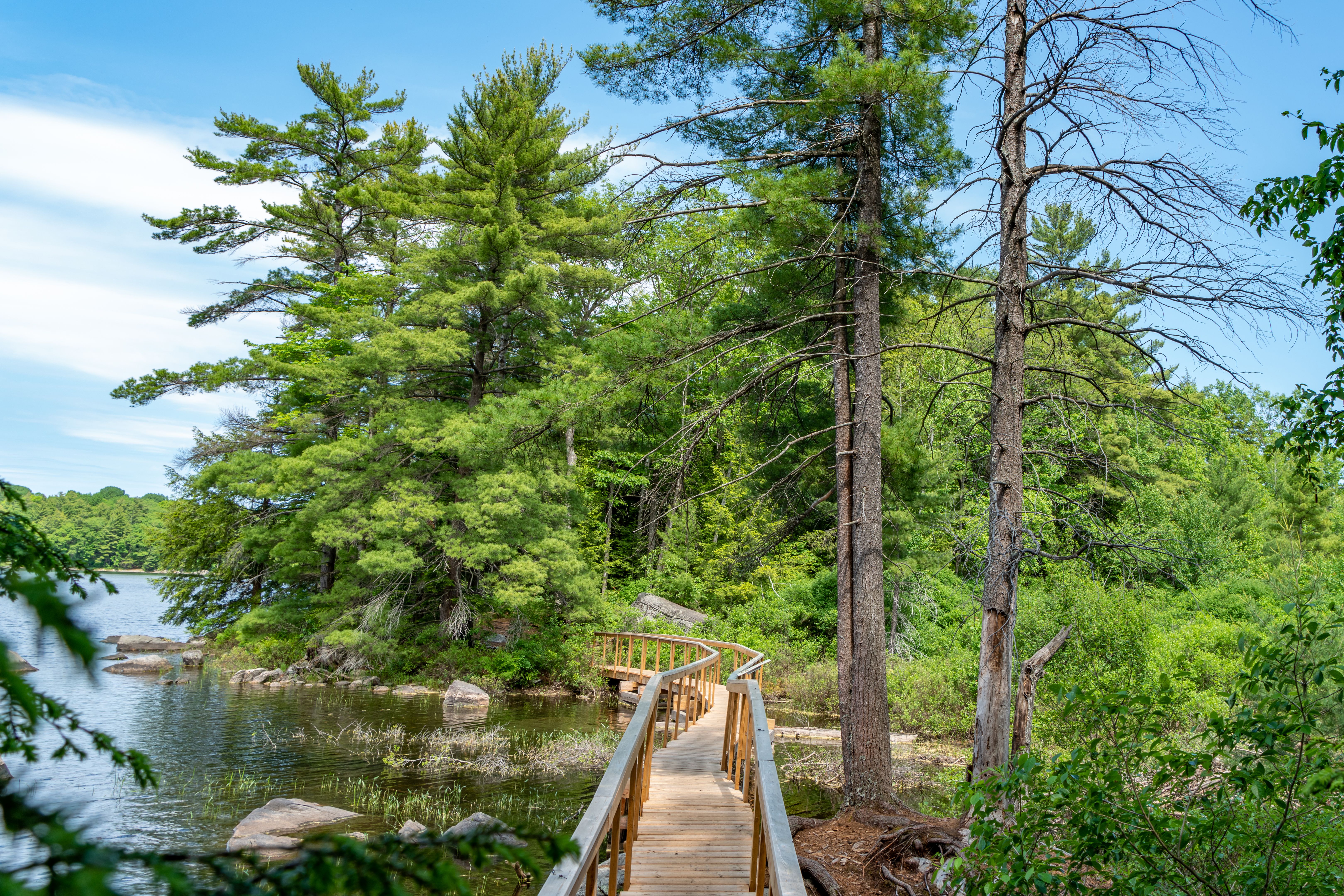 Hardy Lake Provincial Park at Highway 169 in Muskoka Lakes, Torrance, Canada Hardy Lake Provincial Park at Highway 169 in Muskoka Lakes, Torrance, Canada