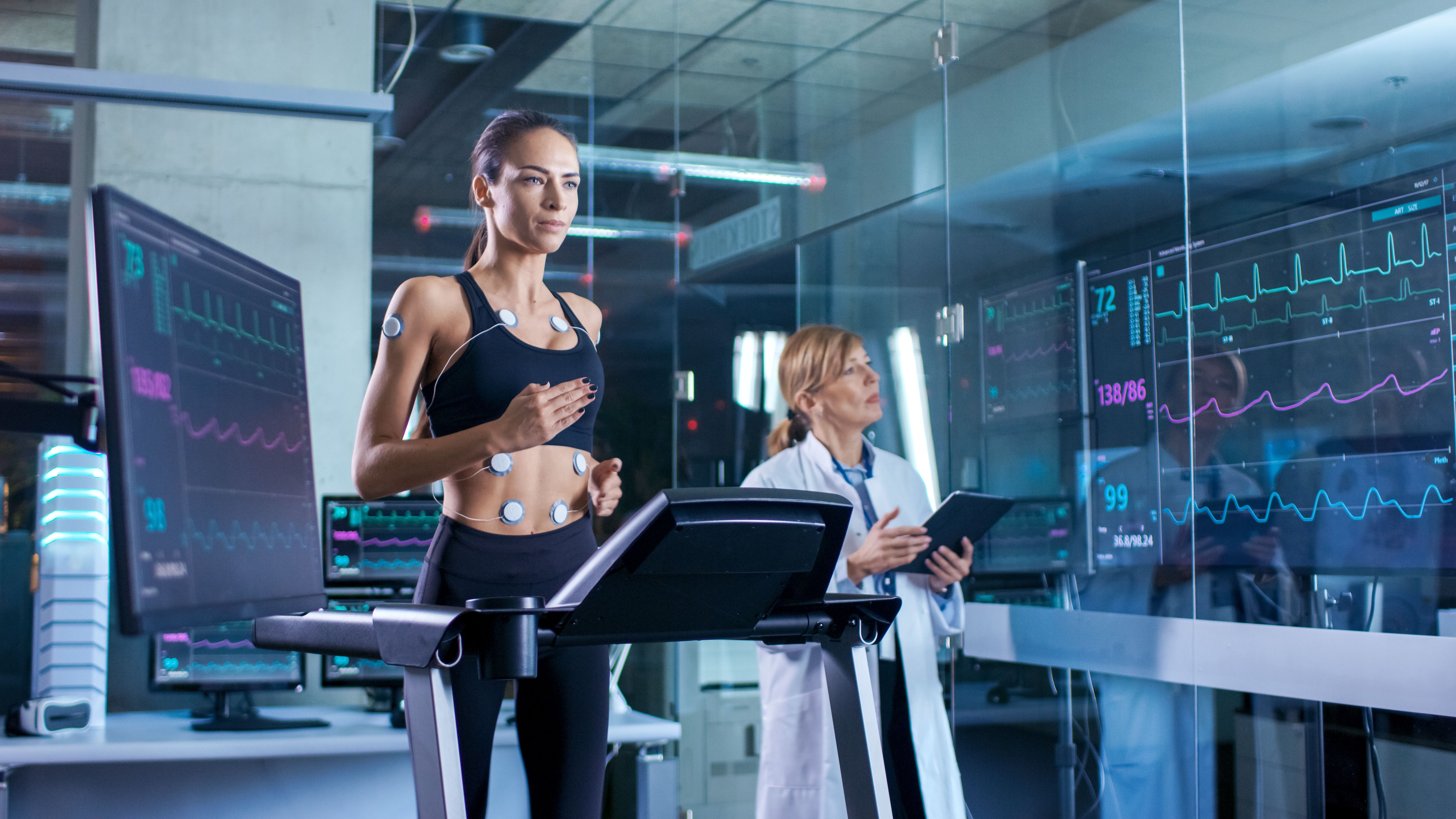 fitness assessment