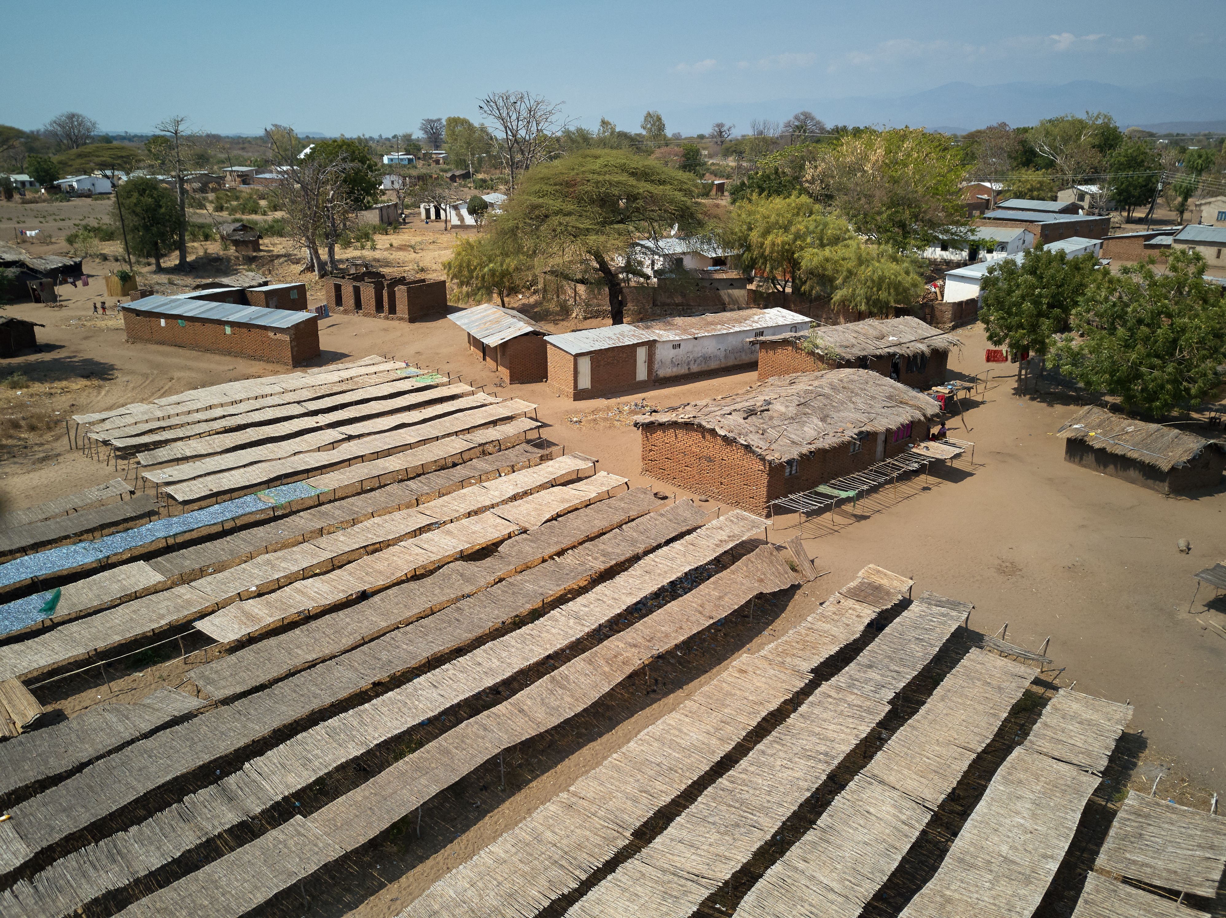 urban farm Malawi