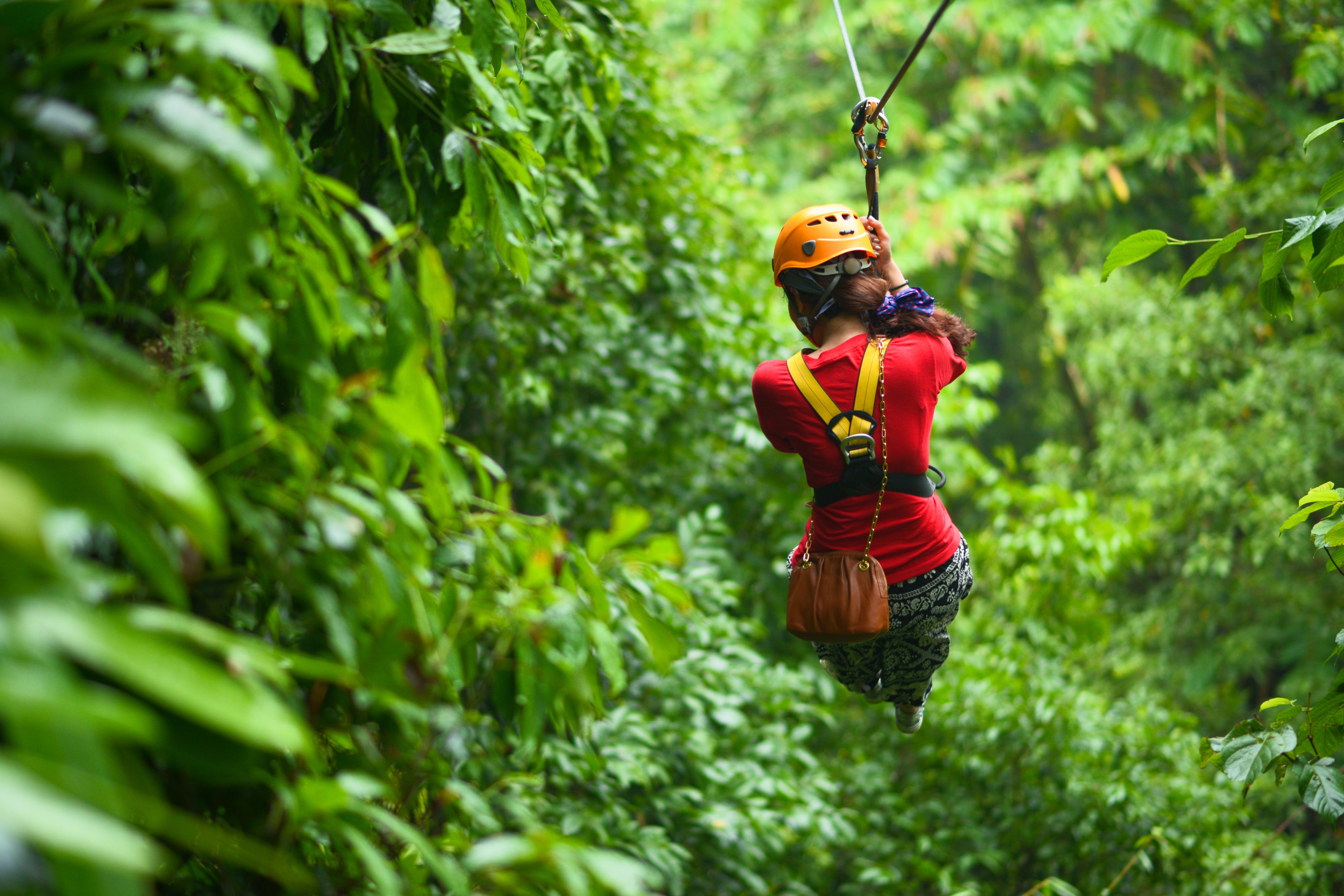 zipline rainforest