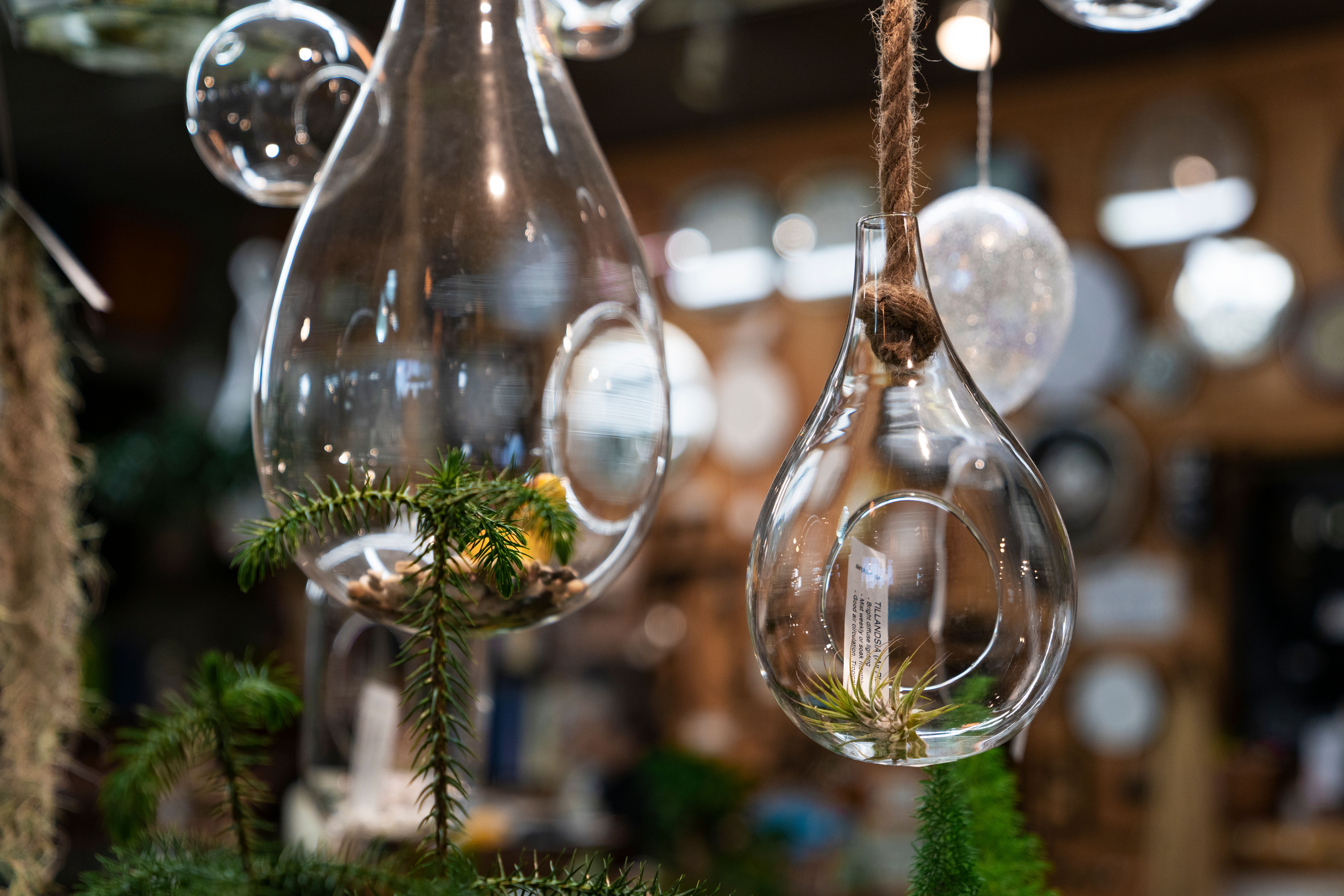 vancouver store decorations