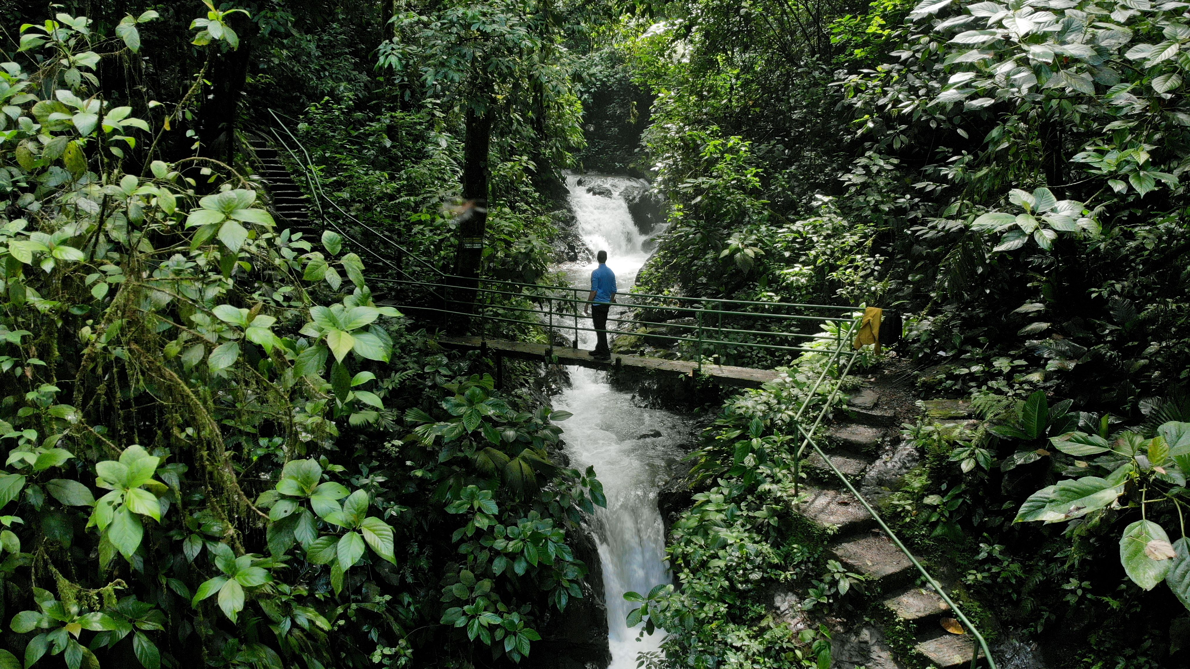 costa rica rainforest