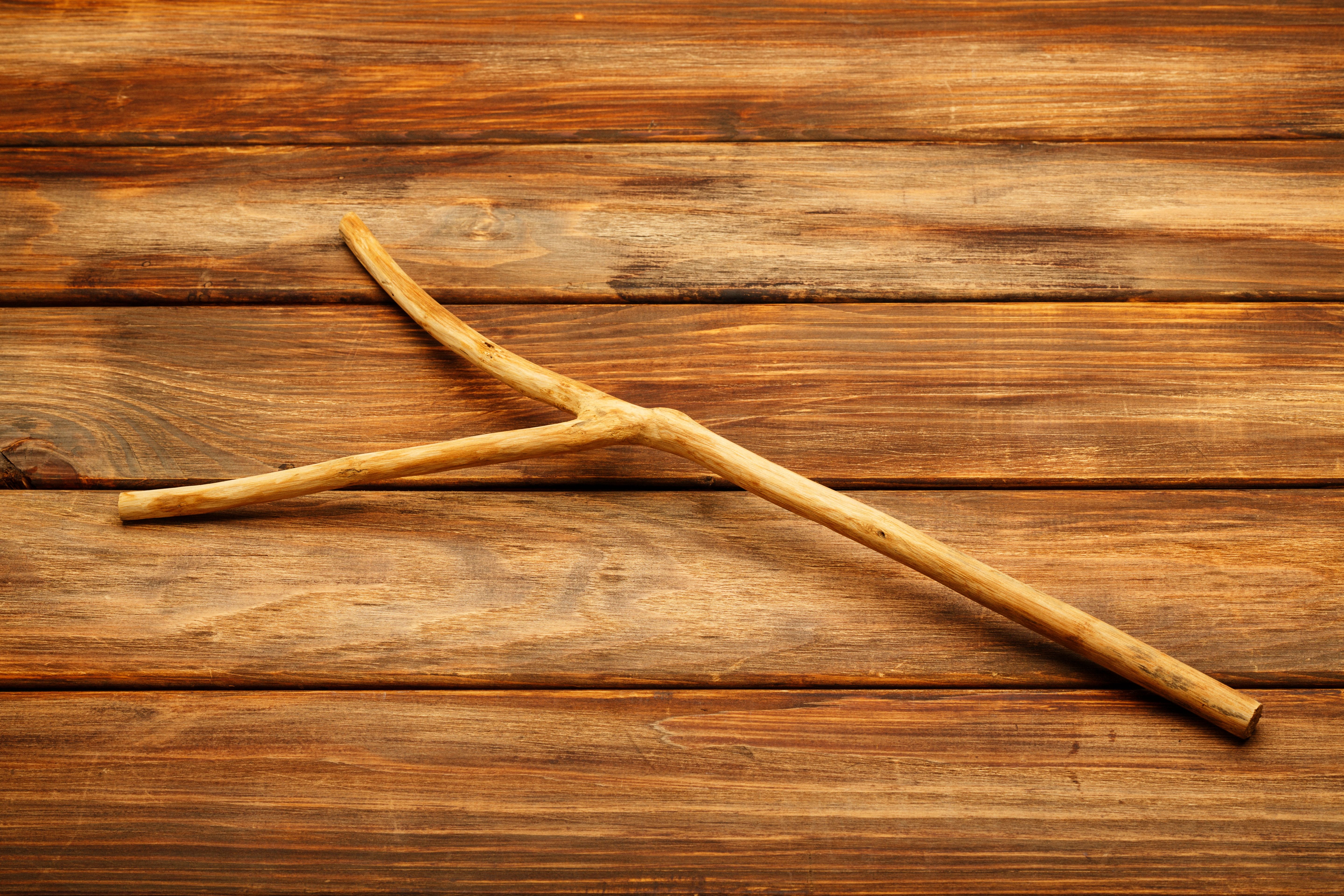 Understanding Water Divining: How Local Dowsing Experts in Namibia Find ...