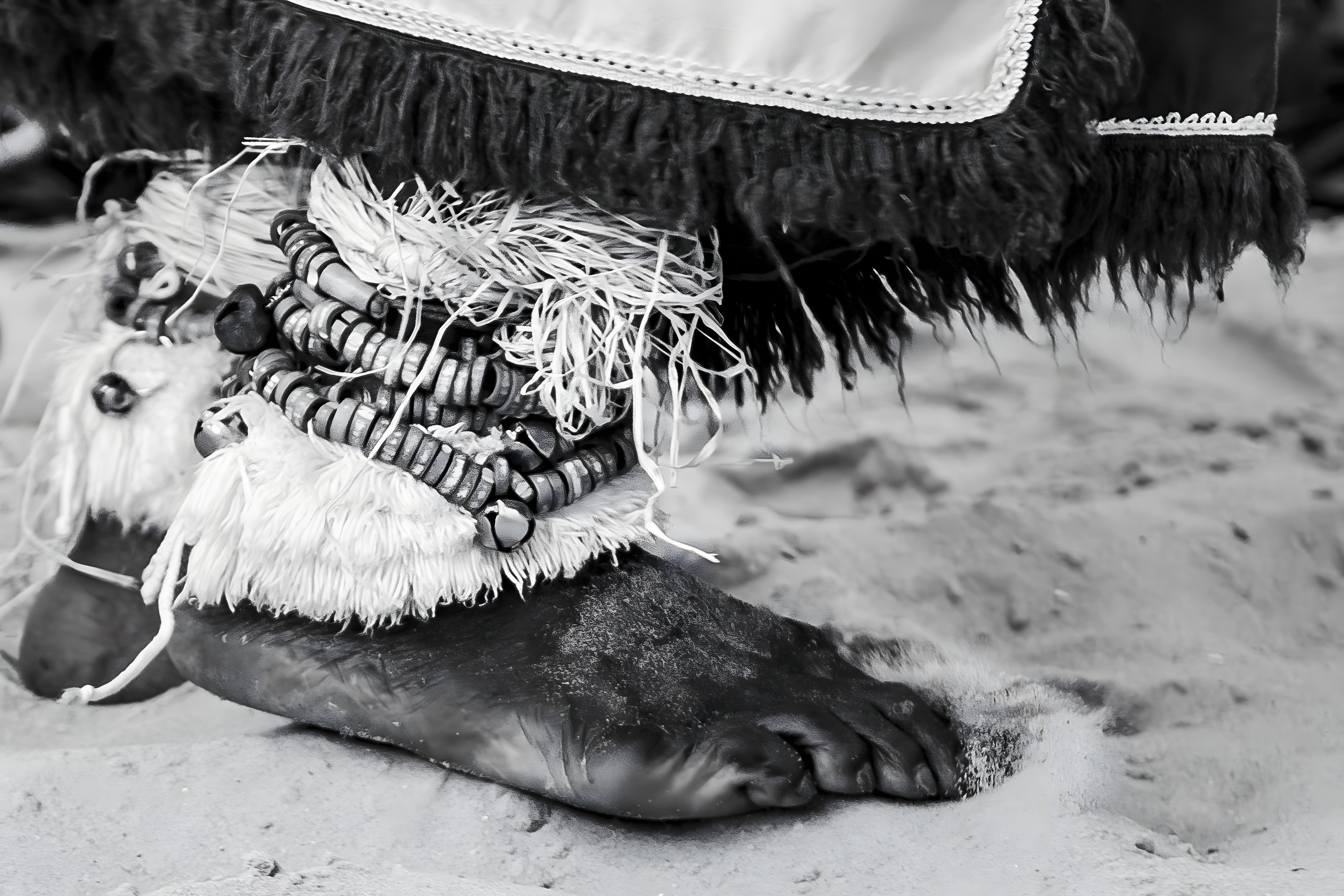 african dance ceremony