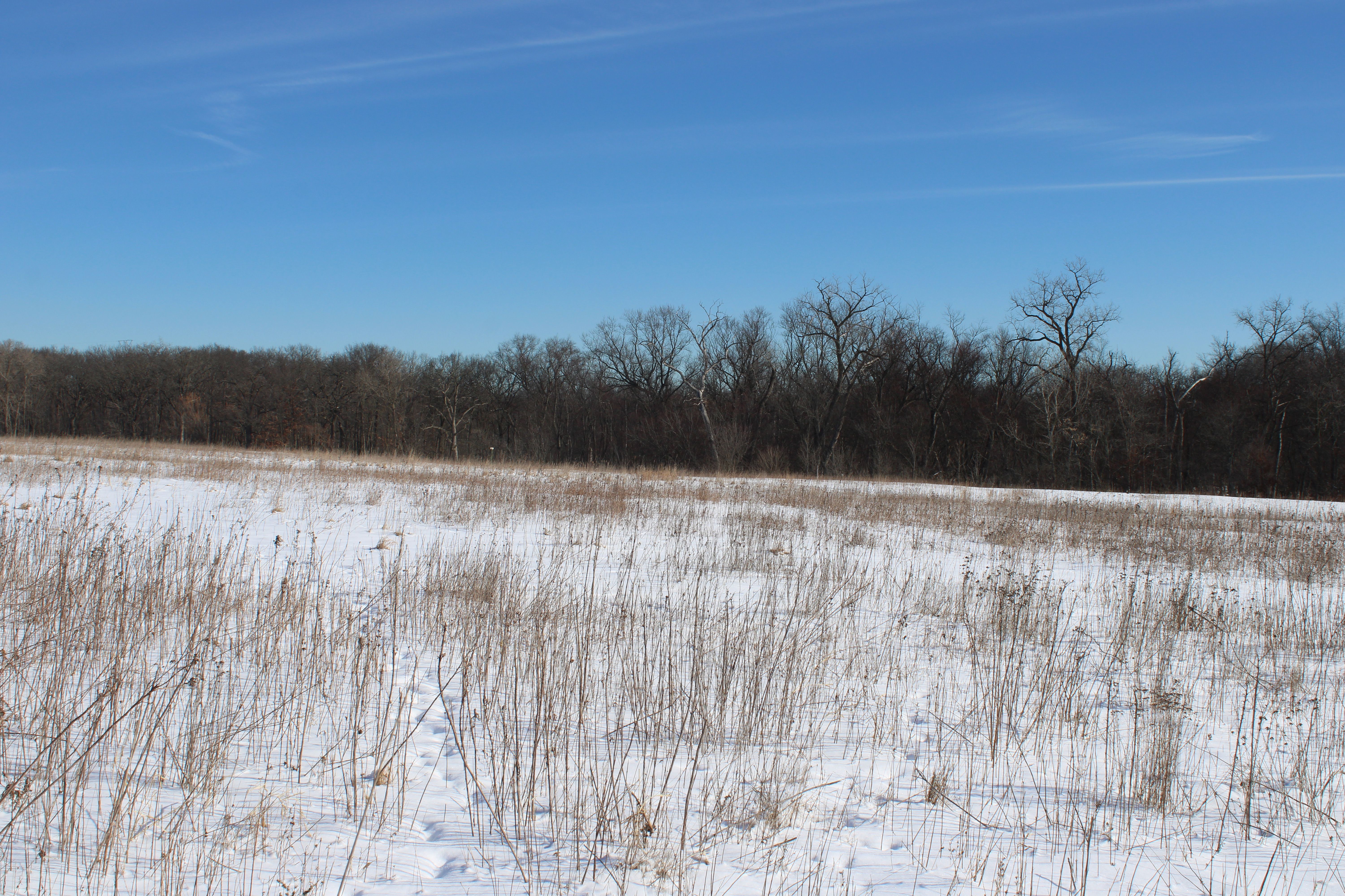 nature preserve chicago