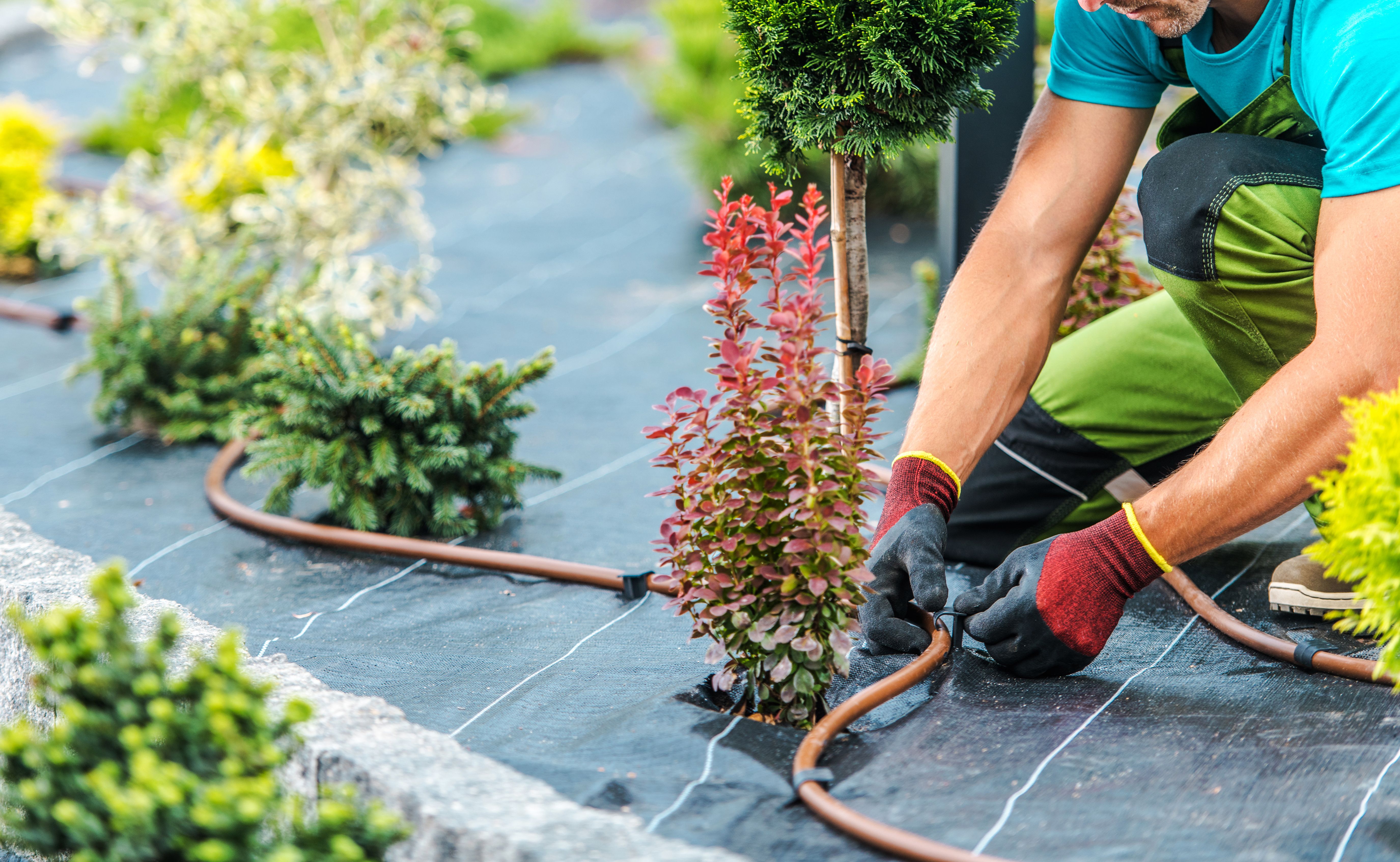 Essential Tips for Effective Garden Maintenance