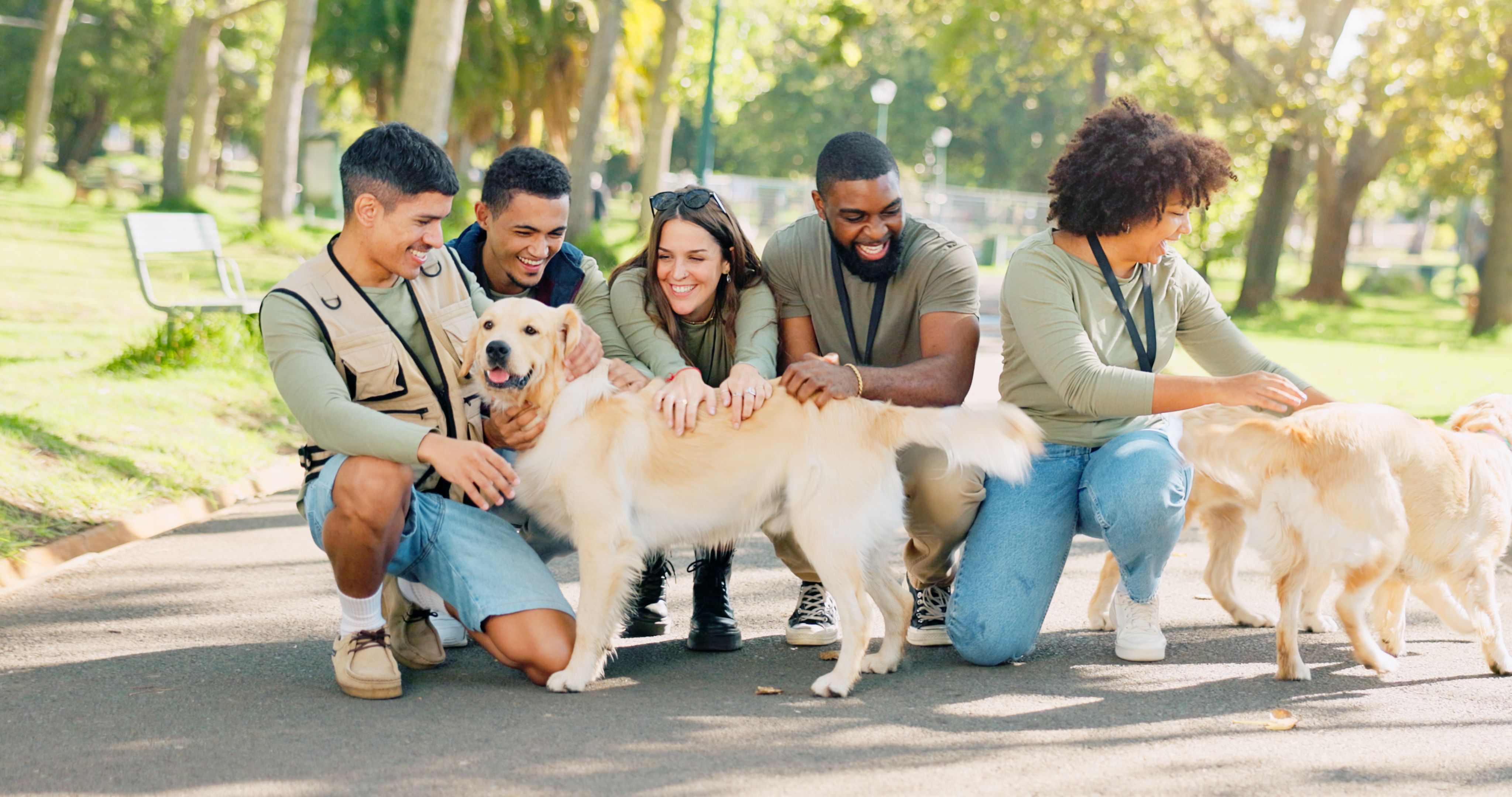 animal shelter
