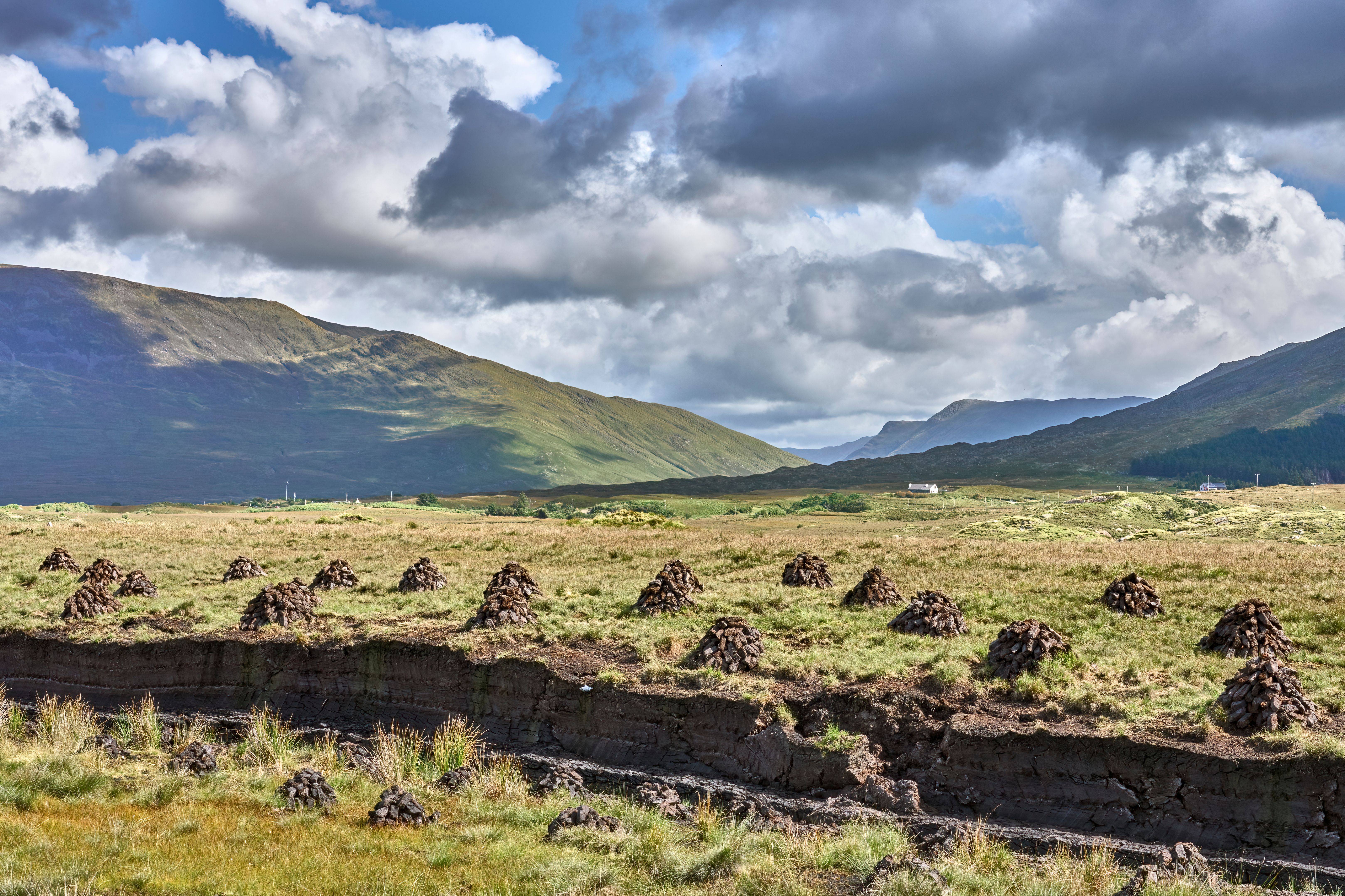 irish bog
